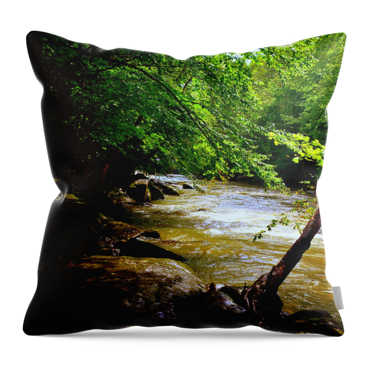 A Peaceful Place Throw Pillow featuring the photograph A Peaceful Place by Lisa Wooten