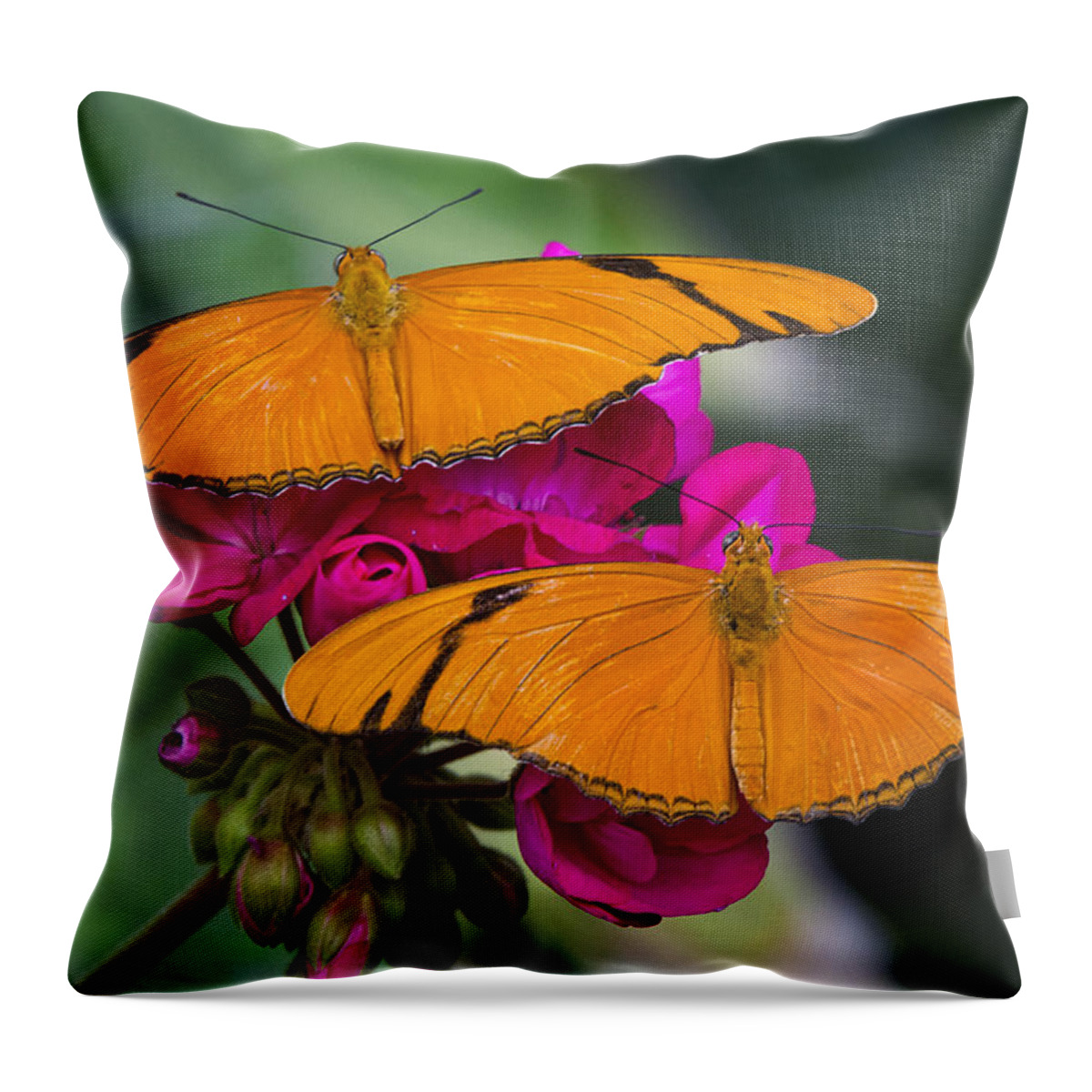 Julia Butterfly Throw Pillow featuring the photograph A Perfect Pair by Saija Lehtonen