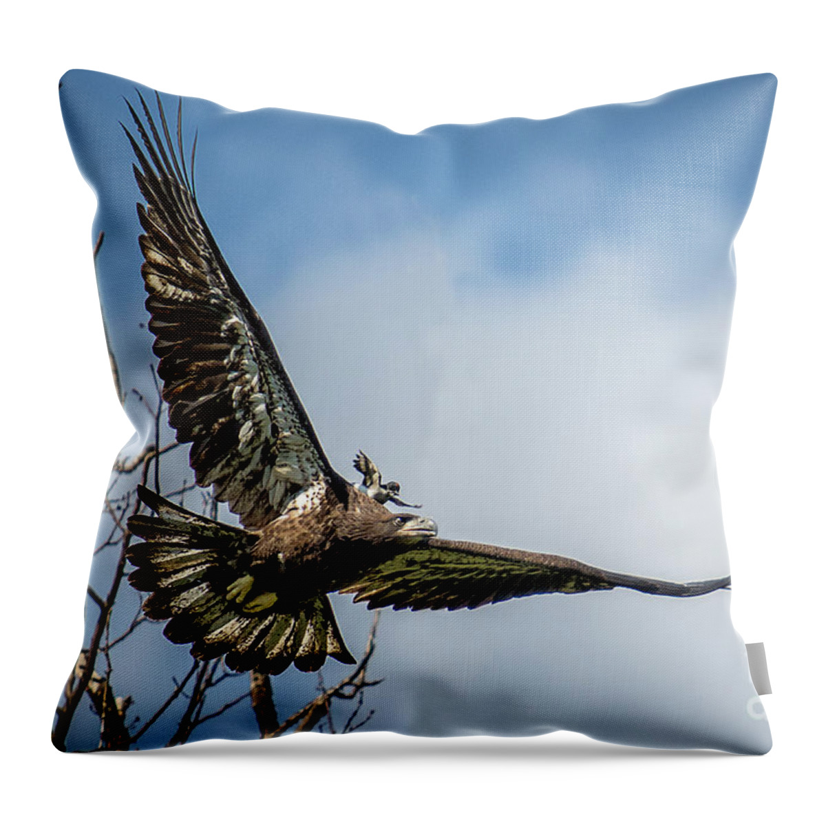 Raptor Throw Pillow featuring the photograph A Piggyback Ride by Eleanor Abramson