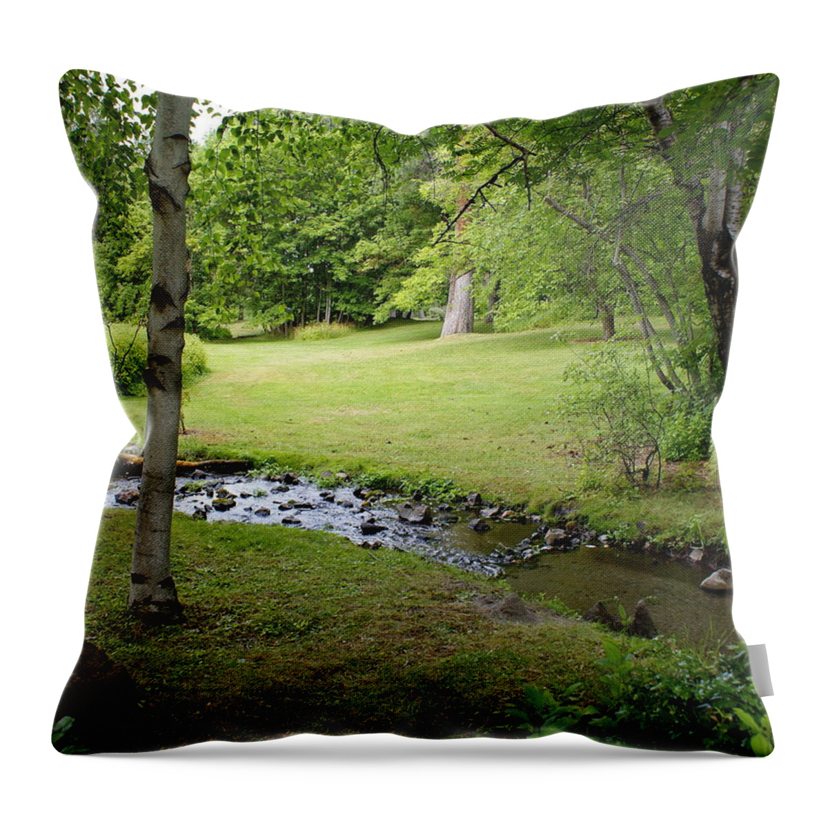 Nature Throw Pillow featuring the photograph A place to Dream Awhile by Ben Upham III