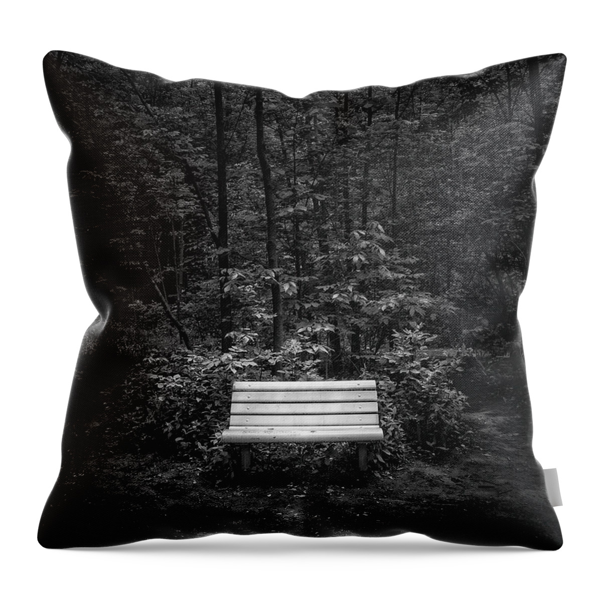 Black And White Throw Pillow featuring the photograph A Place to Sit by Scott Norris