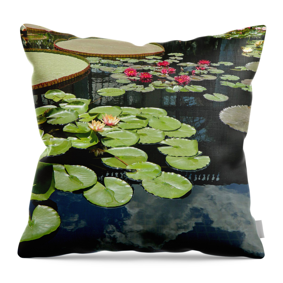Pond Throw Pillow featuring the photograph A Pond Of Beauty by Emmy Marie Vickers
