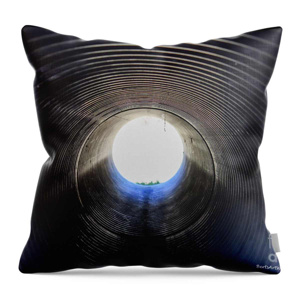 Light Throw Pillow featuring the photograph A Portal of Light by Roberta Byram
