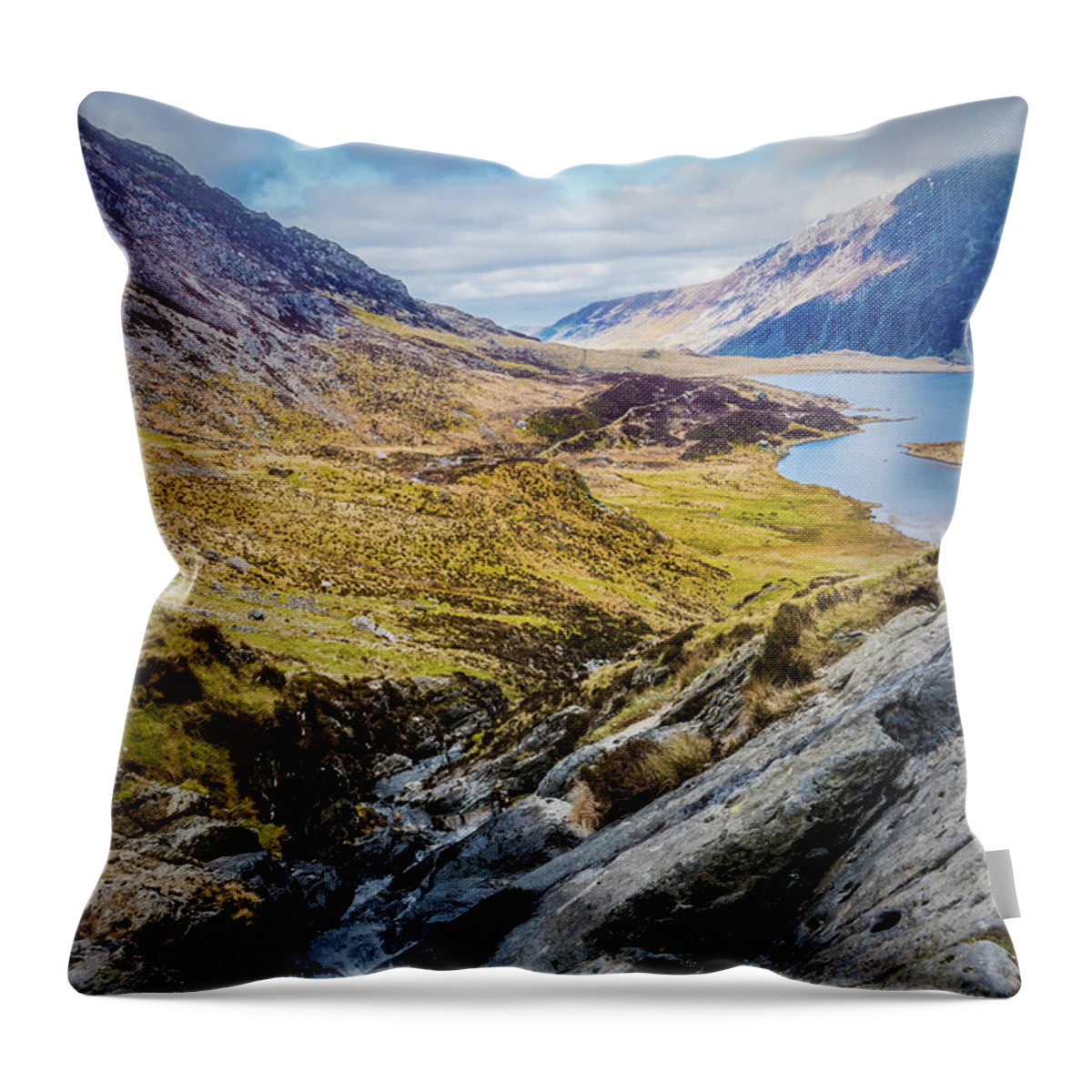  Throw Pillow featuring the photograph A Portrait of Snowdonia by Nick Bywater