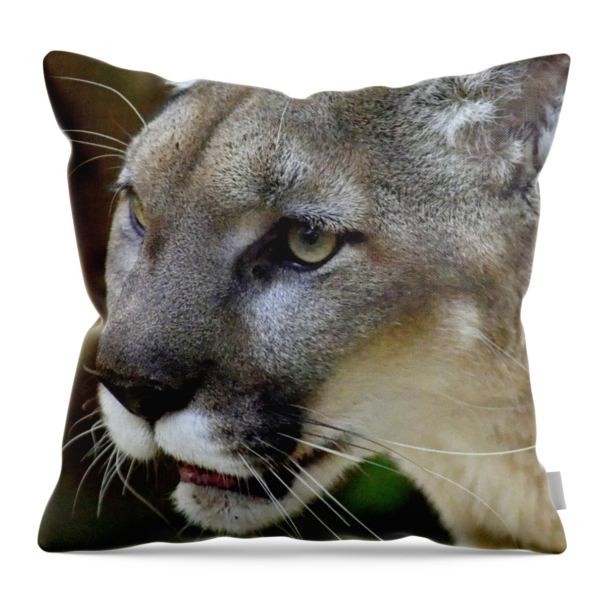 A Puma By Any Other Name Throw Pillow featuring the photograph A Puma By Any Other Name -- Mountain Lion at Living Desert Zoo and Gardens, Palm Desert, California by Darin Volpe
