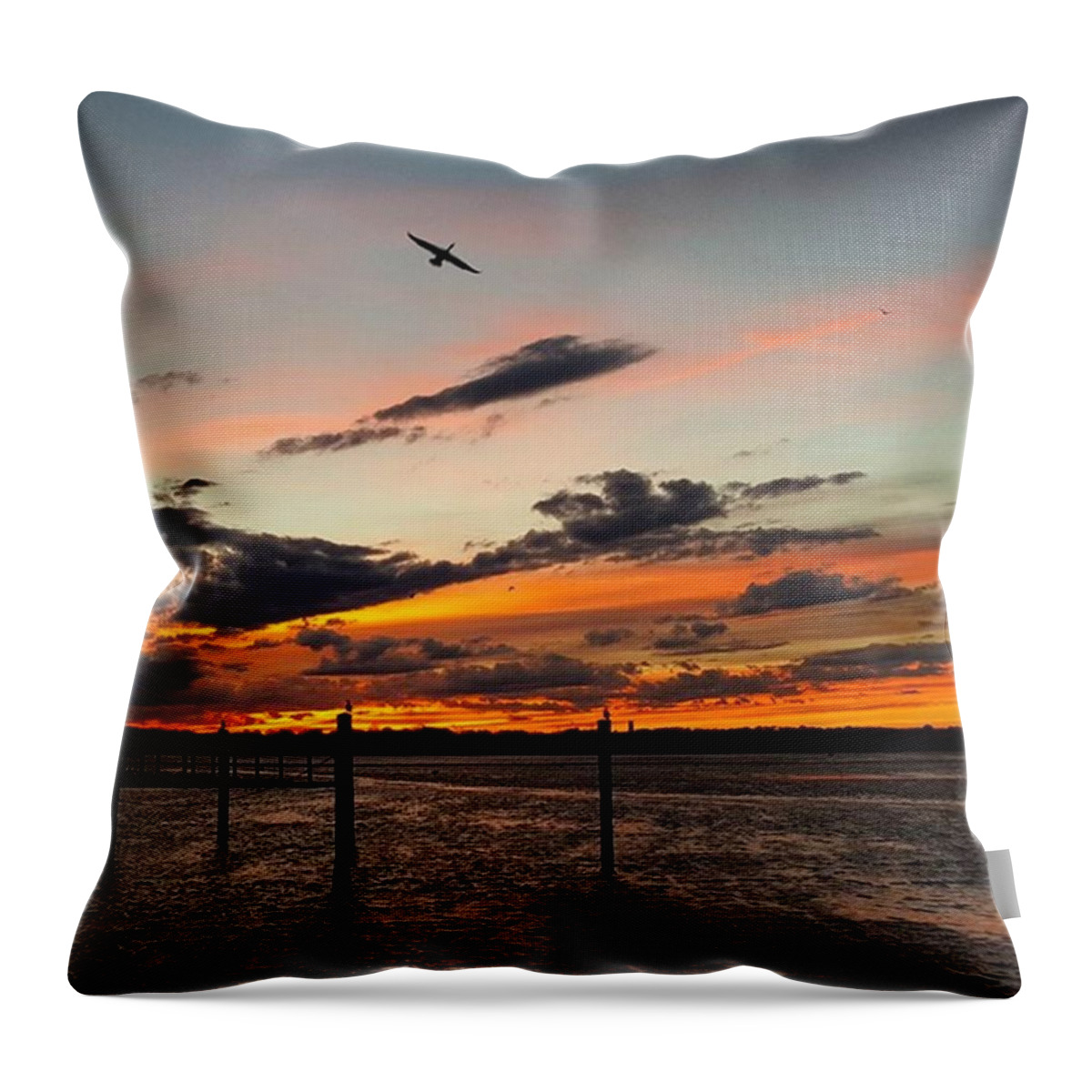 Sky Throw Pillow featuring the photograph Soarin' by Lauren Fitzpatrick