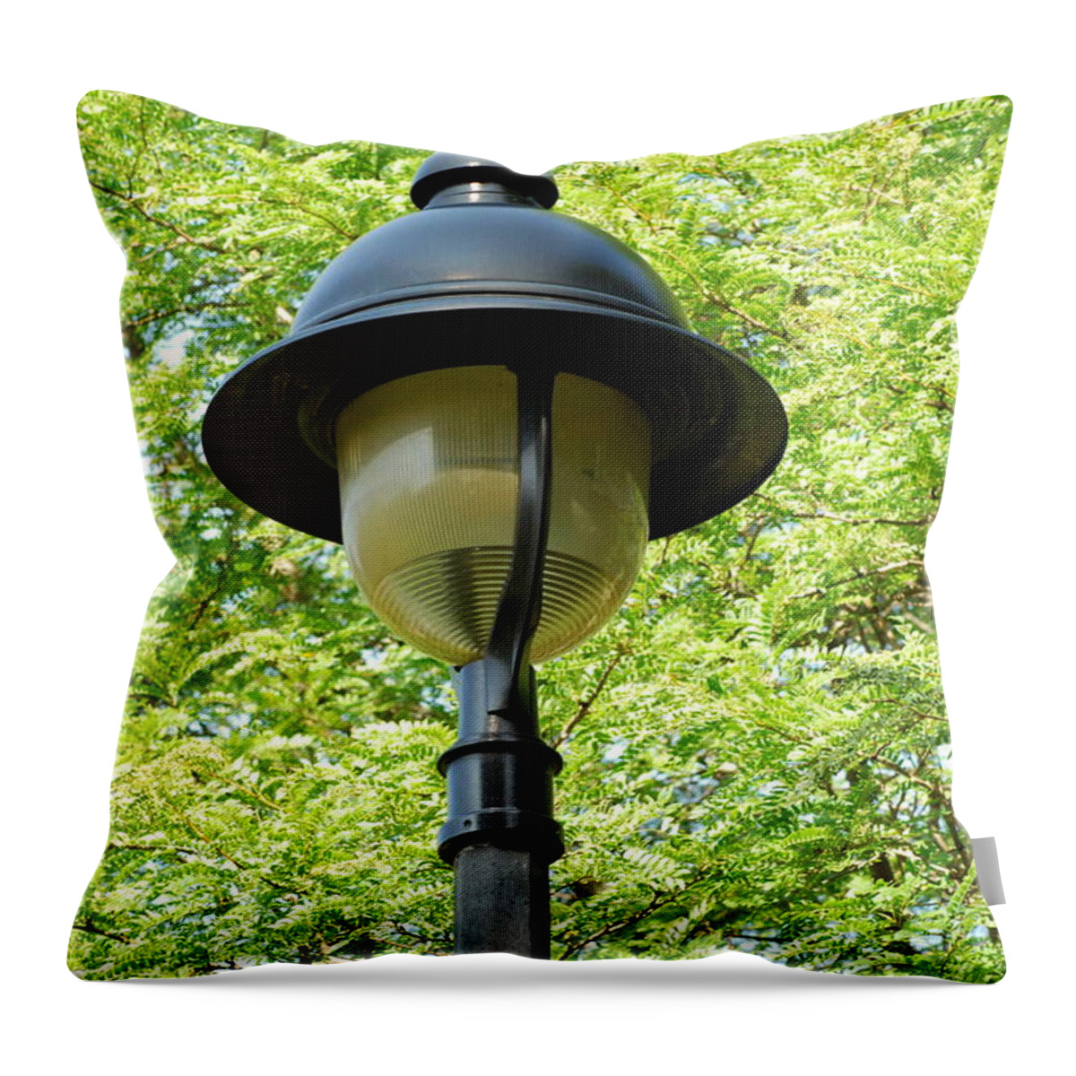 Scenic Throw Pillow featuring the photograph A Quality Bell Park Light by Ee Photography