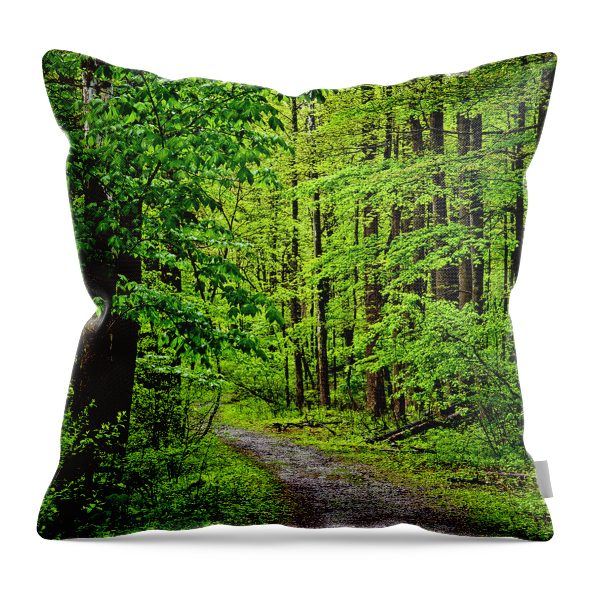 Paths Throw Pillow featuring the photograph A Quiet Walkway Without Destination by Kathy McClure