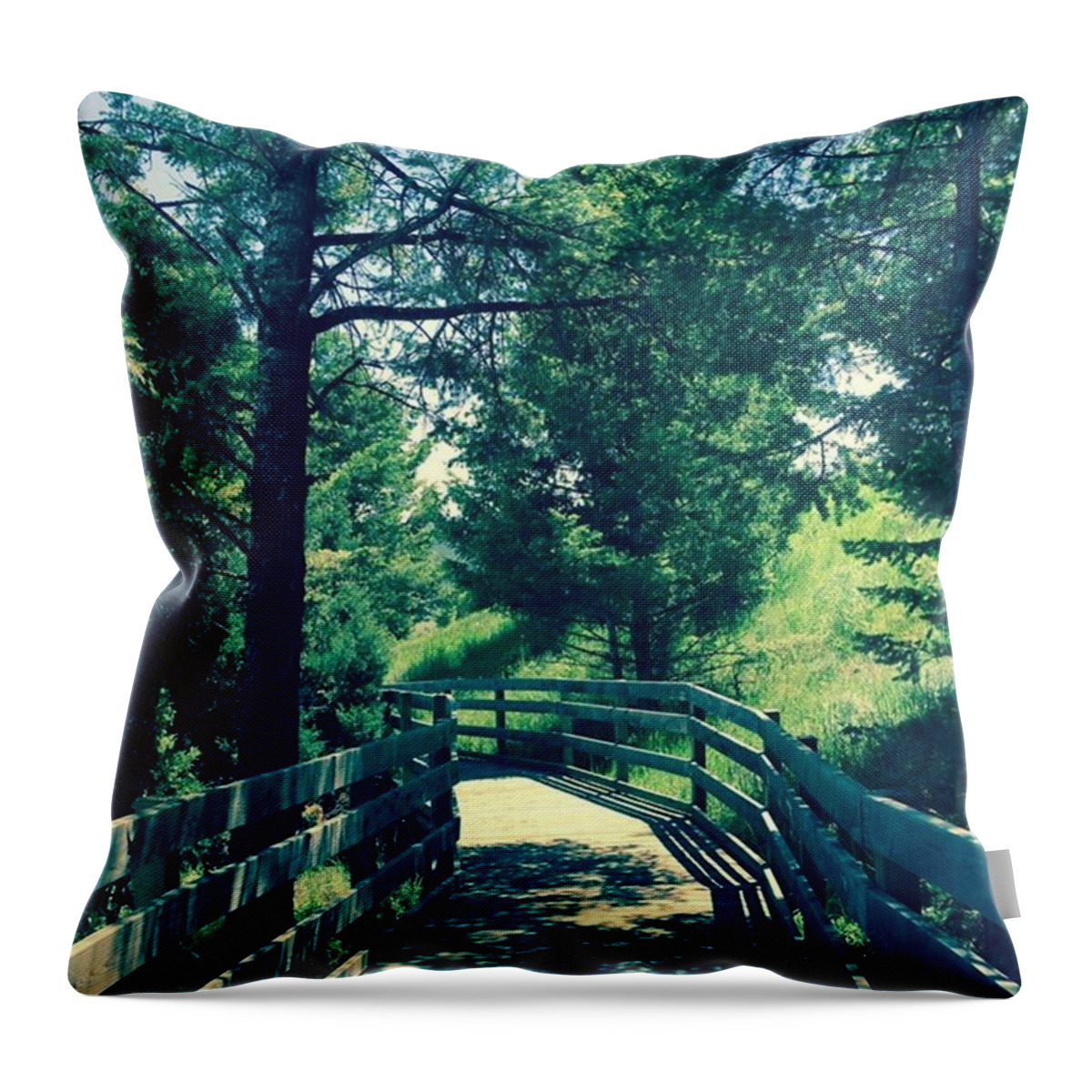 Livingasben Throw Pillow featuring the photograph A Road Of Both Civilization And Nature by Ben Hong