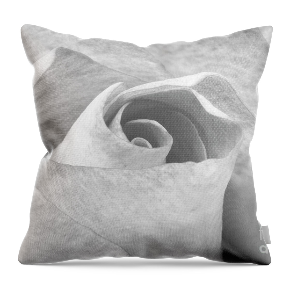 B&w Throw Pillow featuring the photograph A Rose is a Rose Black and White Floral Photo 753 by Ricardos Creations