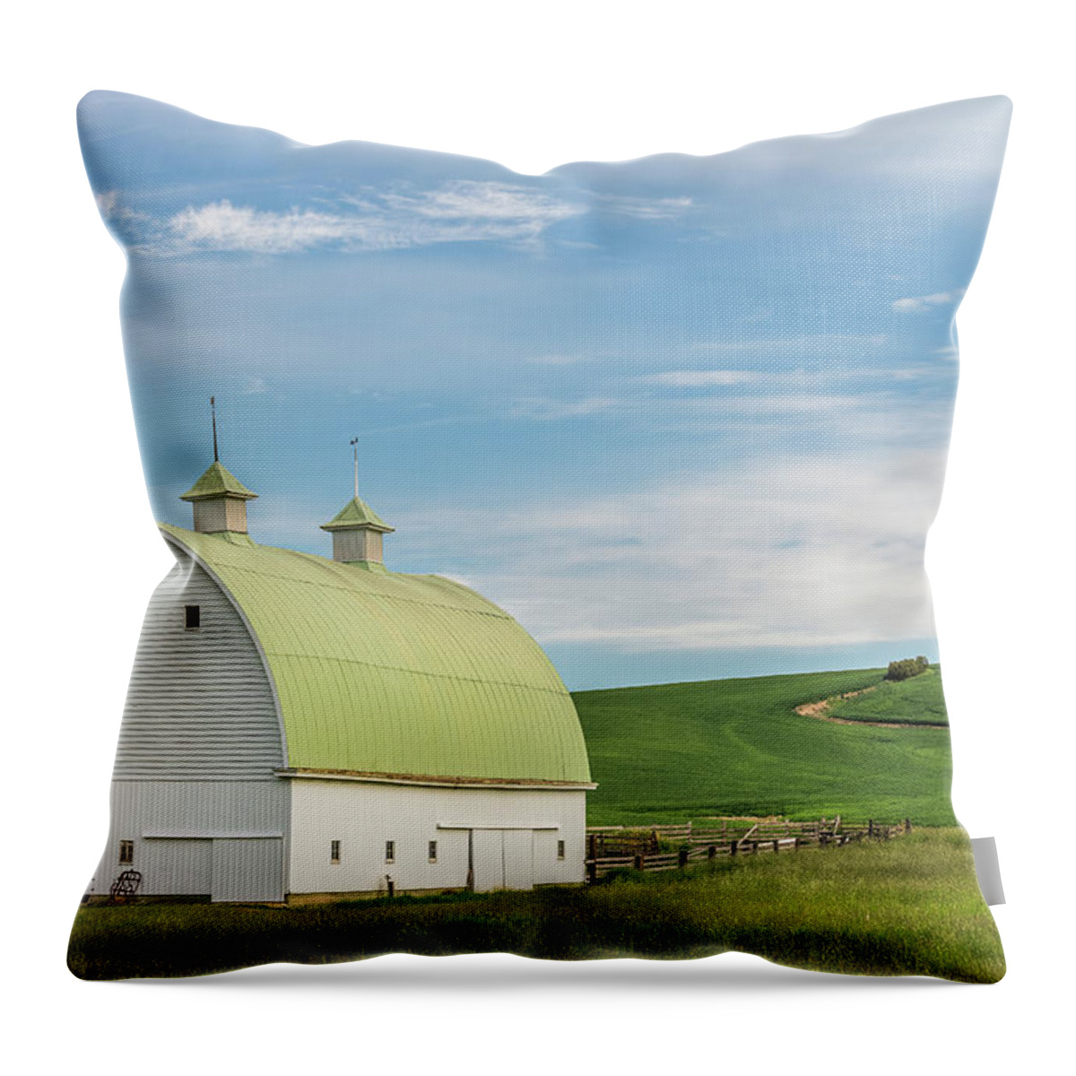 Agriculture Throw Pillow featuring the photograph A scene from Palouse by Usha Peddamatham