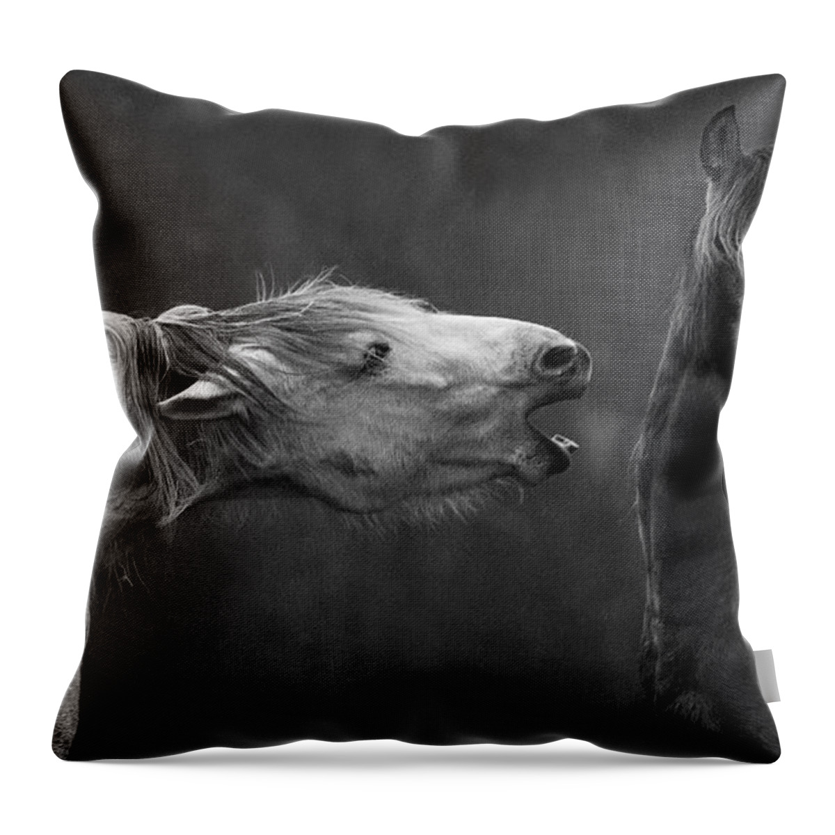 Horses Throw Pillow featuring the photograph A Scolding by Art Cole