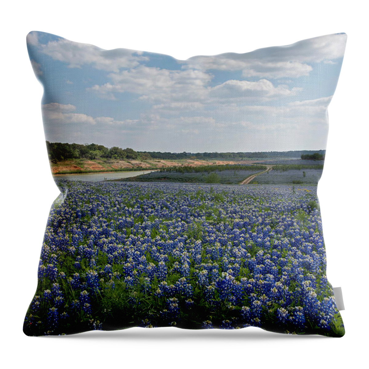 Bluebonnets Throw Pillow featuring the photograph A Sea of Blue by Cathy Alba