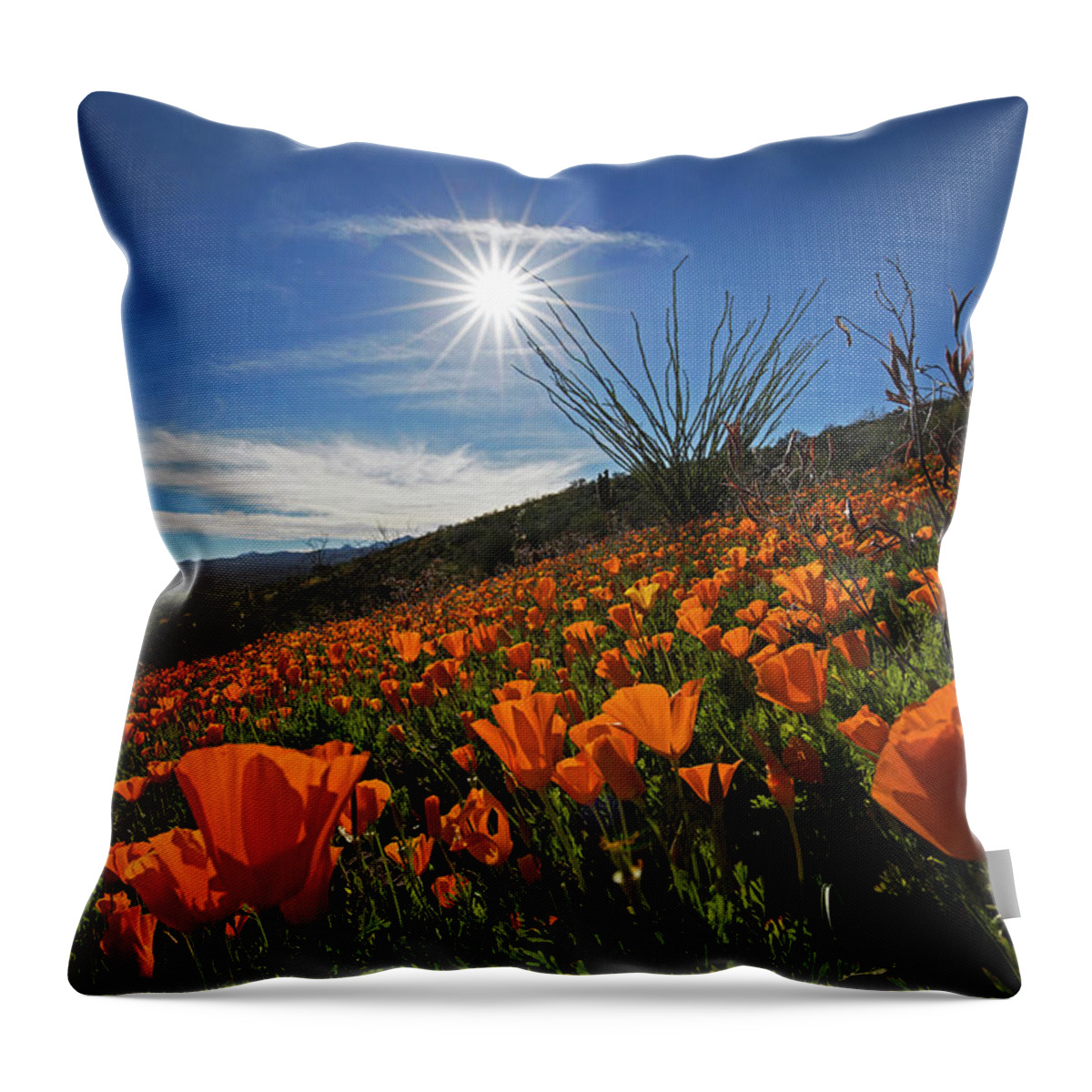 Poppy Throw Pillow featuring the photograph A Sea of Poppies by Sue Cullumber