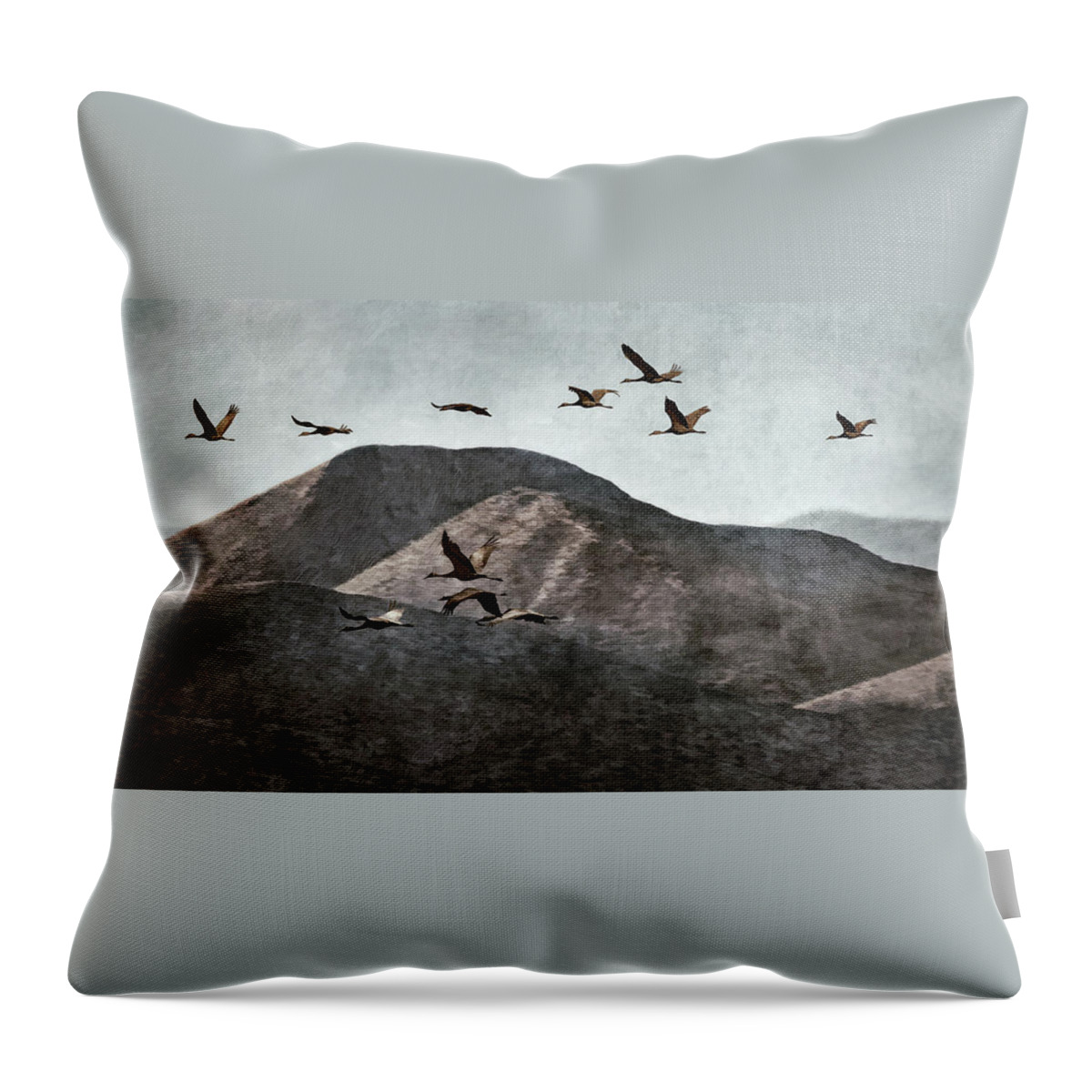Sandhill Cranes Throw Pillow featuring the photograph A Sedge of Cranes by Leda Robertson