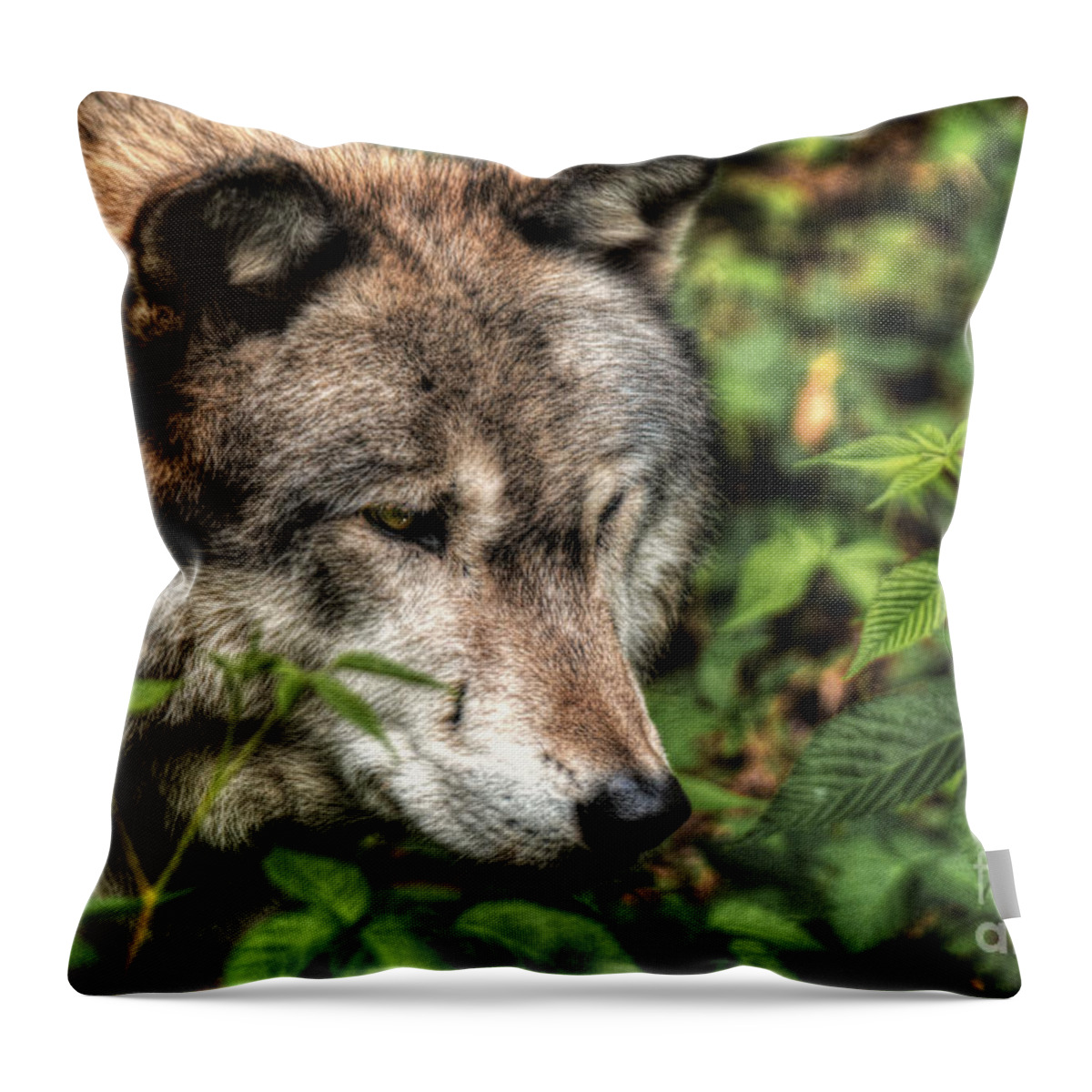 A Senior Citizen Of The Forest Throw Pillow featuring the digital art A Senior Citizen of the Forest by William Fields