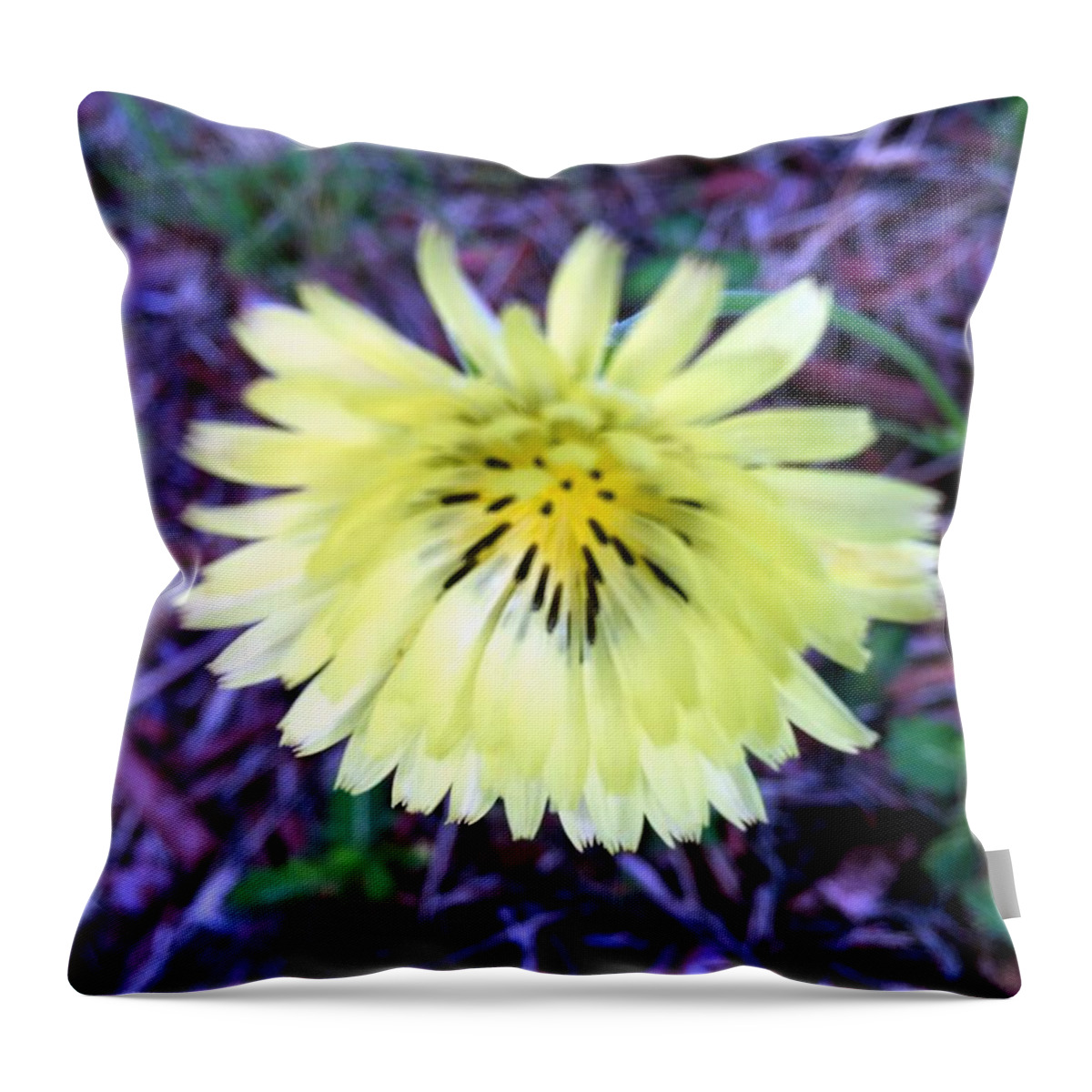 Dandelion Throw Pillow featuring the photograph A Simple Dandelion by Marian Lonzetta
