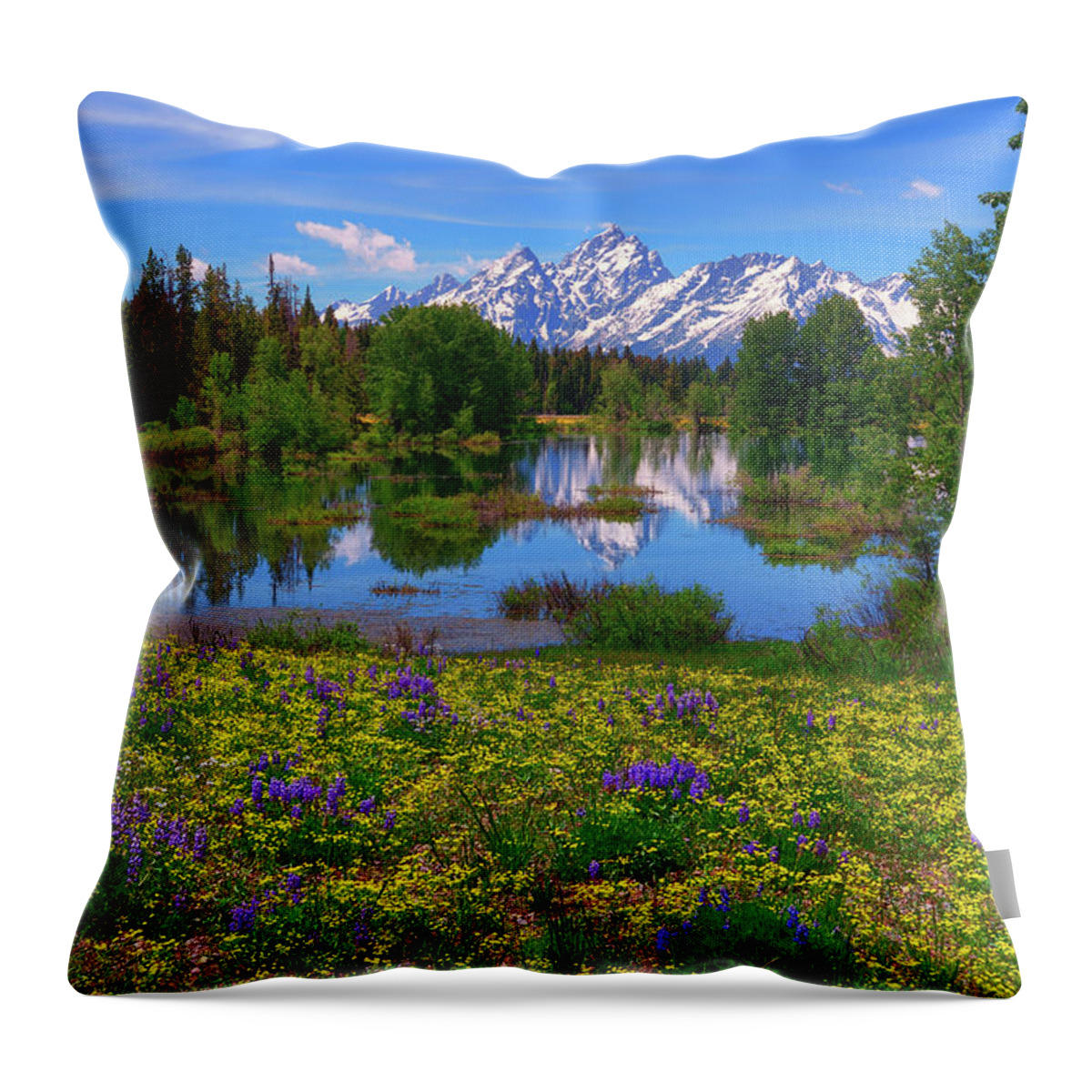 Grand Teton National Park Throw Pillow featuring the photograph A Slice of Heaven by Greg Norrell