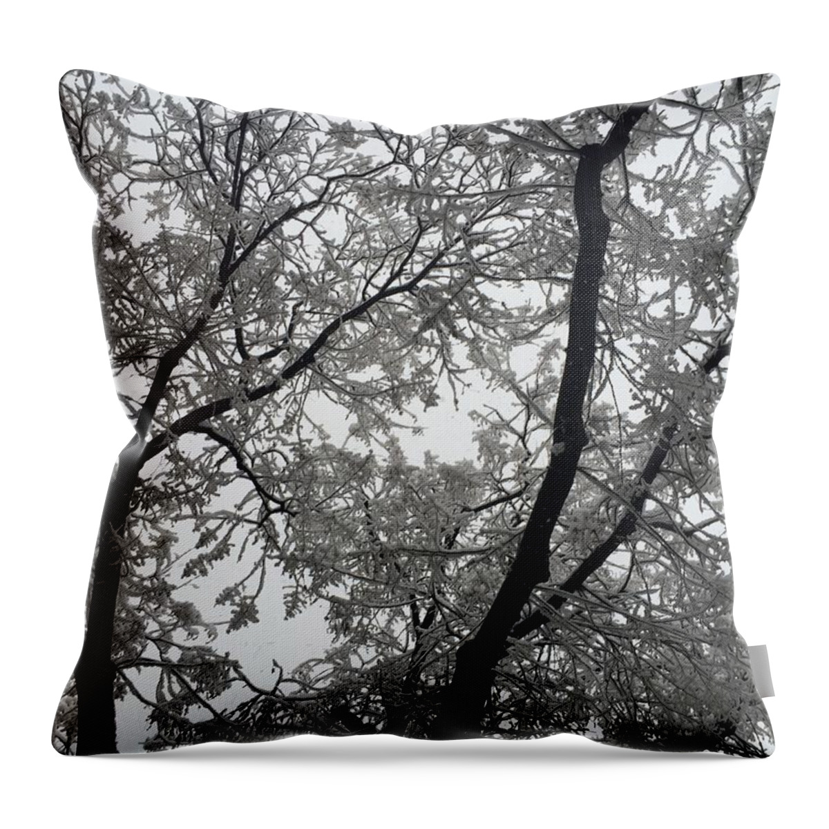 A Snowy Morning Tree Throw Pillow featuring the photograph A Snowy Morning Tree by Stephanie Ventura