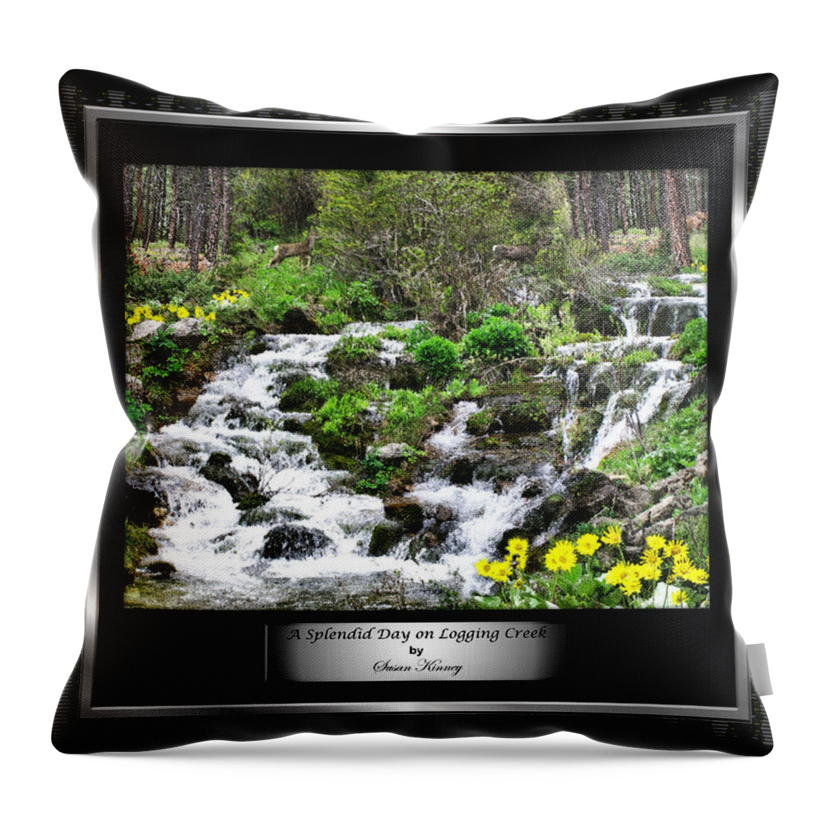 Photography/photo Collage Throw Pillow featuring the photograph A Splendid Day on Logging Creek by Susan Kinney