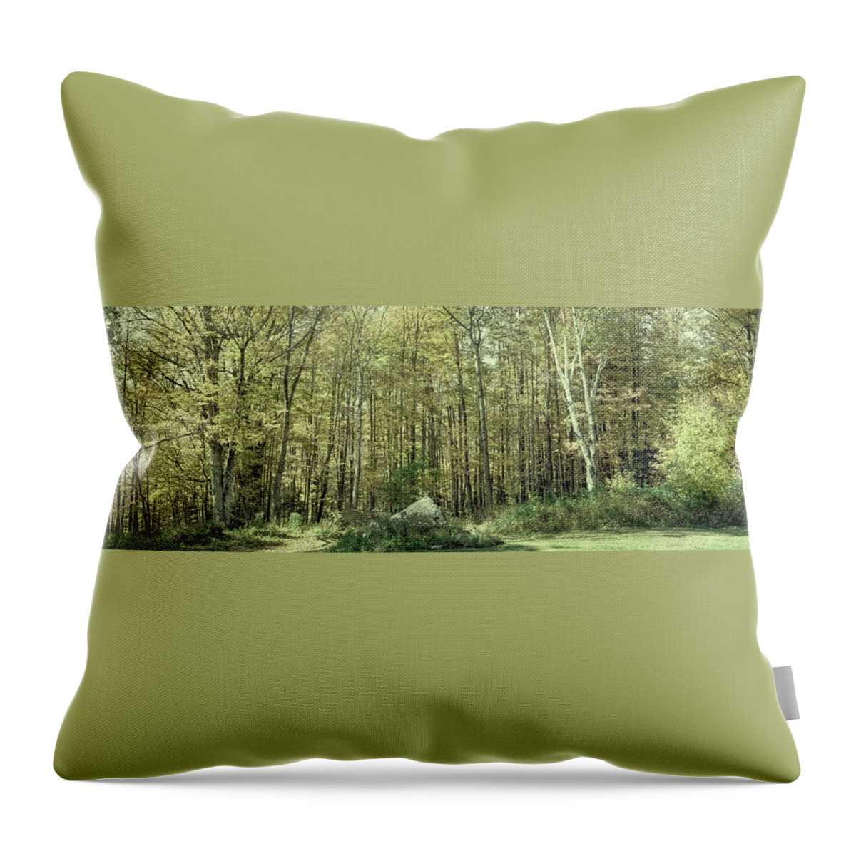 Landscapes Throw Pillow featuring the photograph A Stand of Trees in Autumn by David Patterson