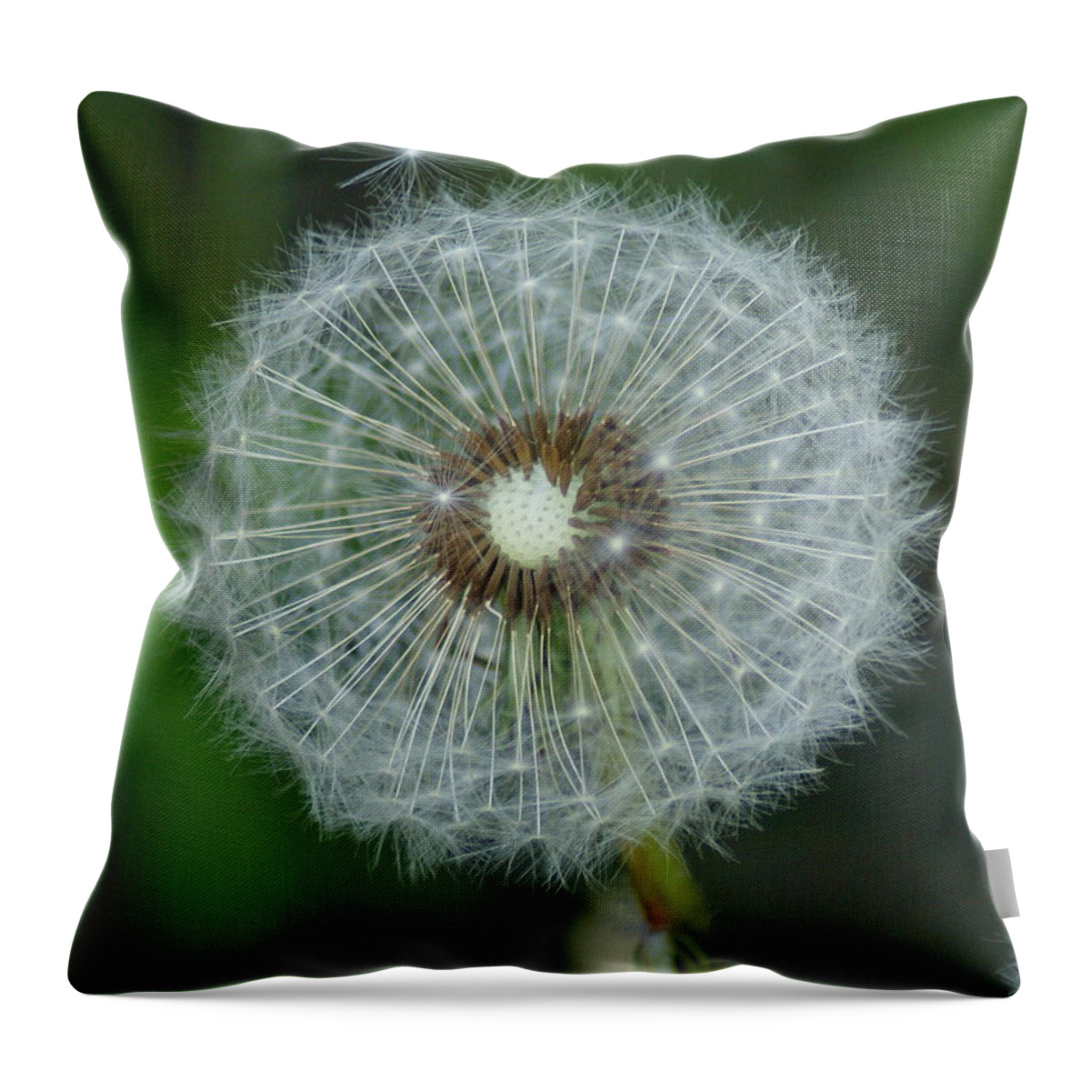 Flowers Throw Pillow featuring the photograph A Star Leaves Home by Ben Upham III