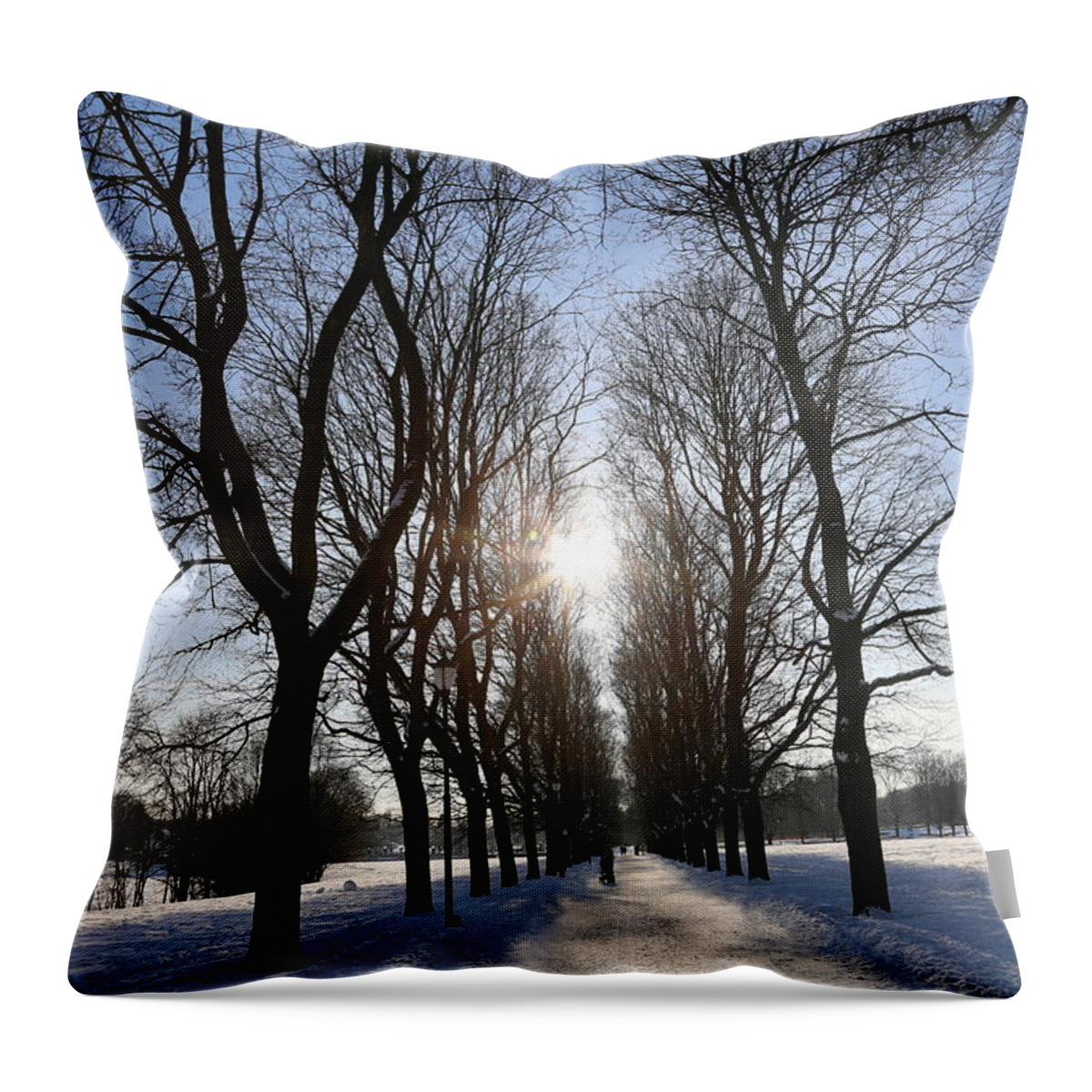 Trees Park Snow Winter Blue Sky Landscape Photo Oslo Norway Scandinavia Europe Outdoors People Throw Pillow featuring the digital art A Sunny Day by Jeanette Rode Dybdahl