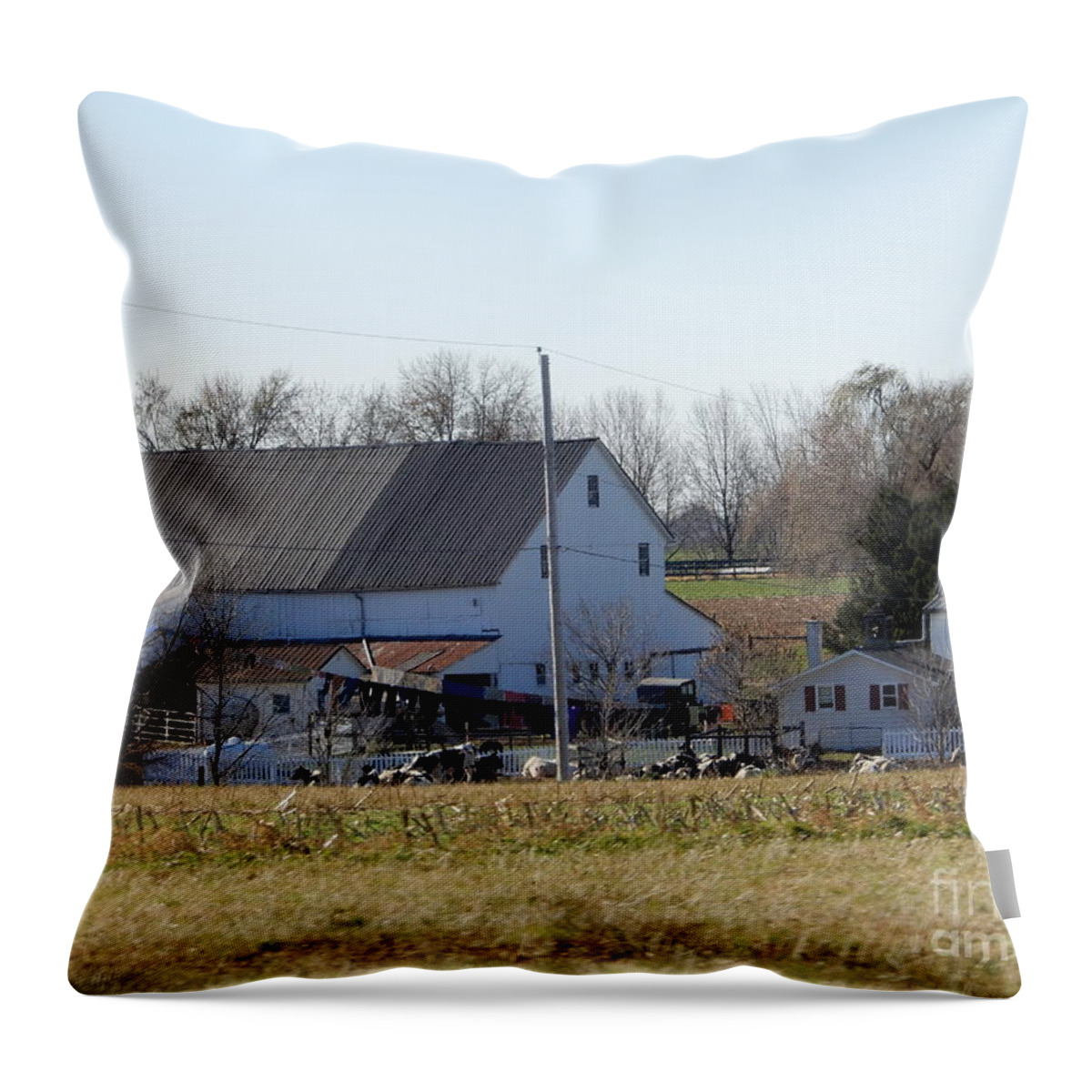 Amish Throw Pillow featuring the photograph A Sunny November Afternoon by Christine Clark