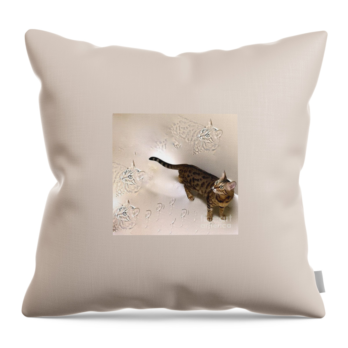 Bengal Cat Throw Pillow featuring the photograph A Sweet Bengal Kitty by Phyllis Kaltenbach