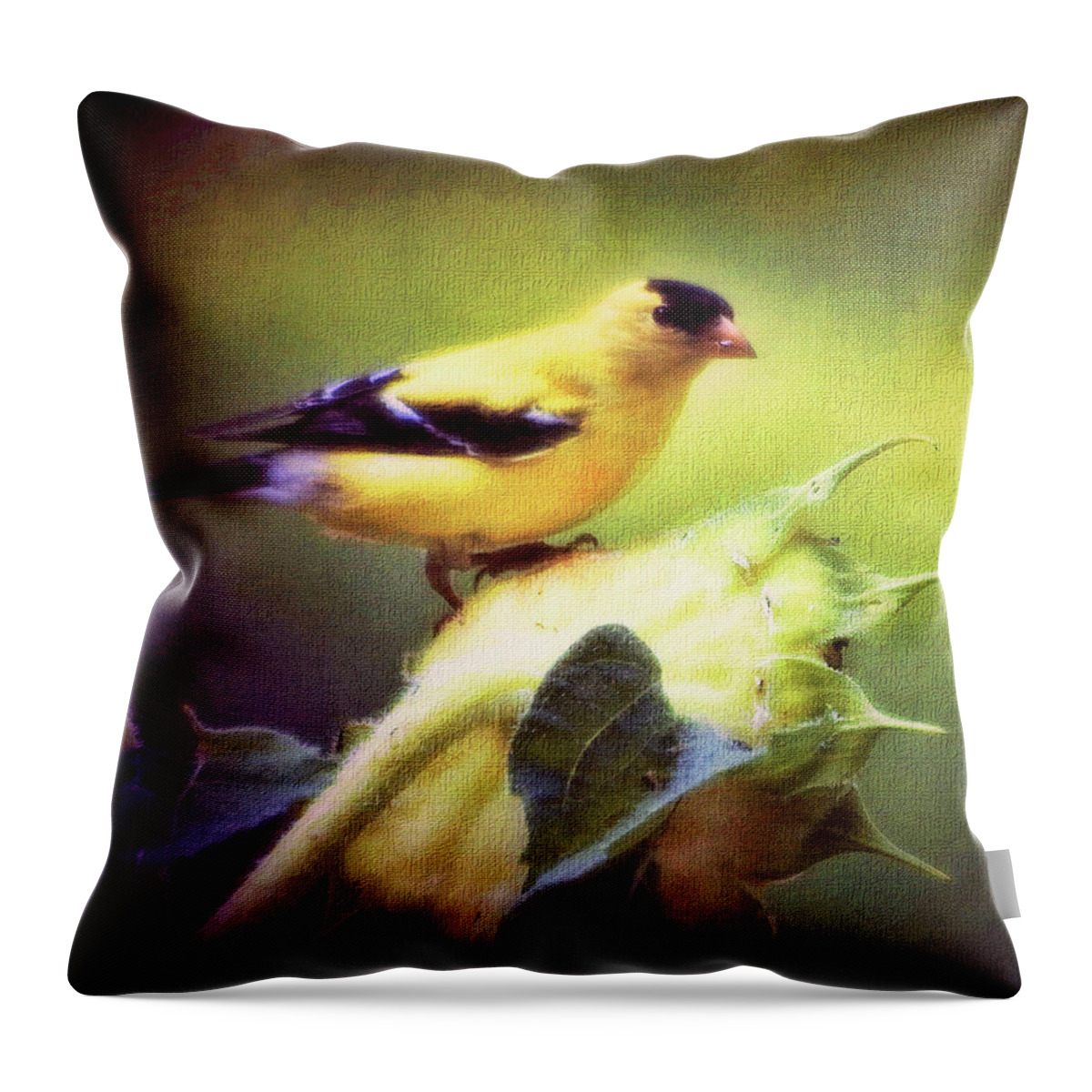 American Goldfinch Throw Pillow featuring the photograph A Taste for Sunflowers by Ola Allen