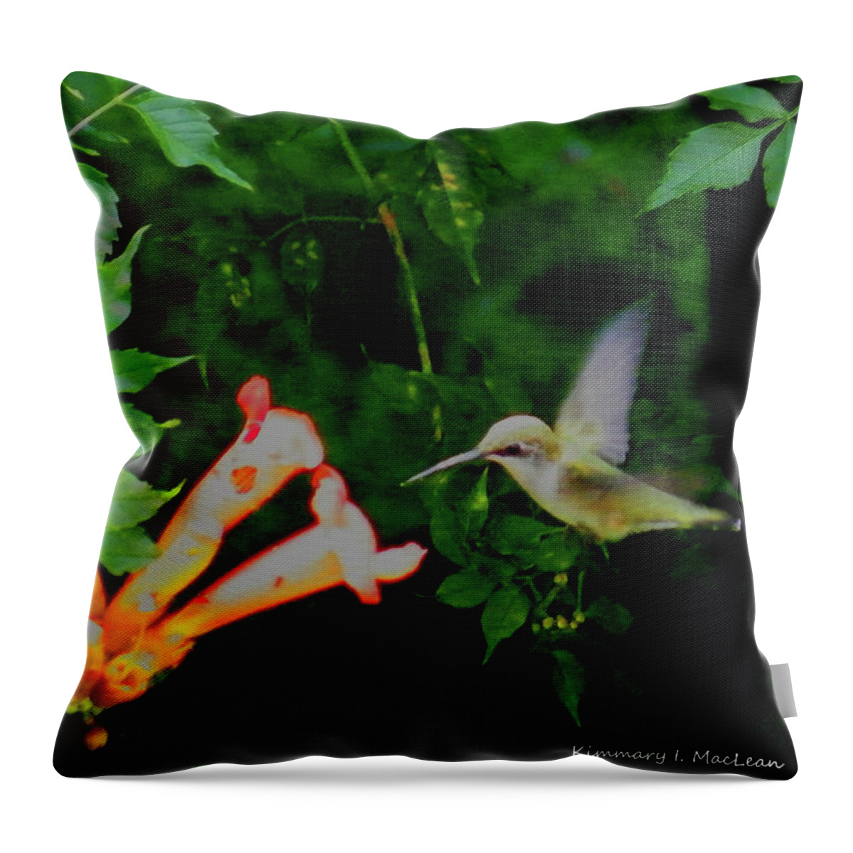 Hummingbird Throw Pillow featuring the photograph A Tasty Treat by Kimmary MacLean