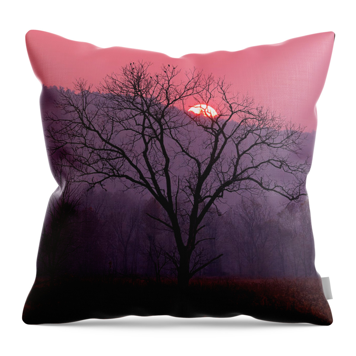 Sunset Throw Pillow featuring the photograph A Tennessee Sunset by Duane Cross
