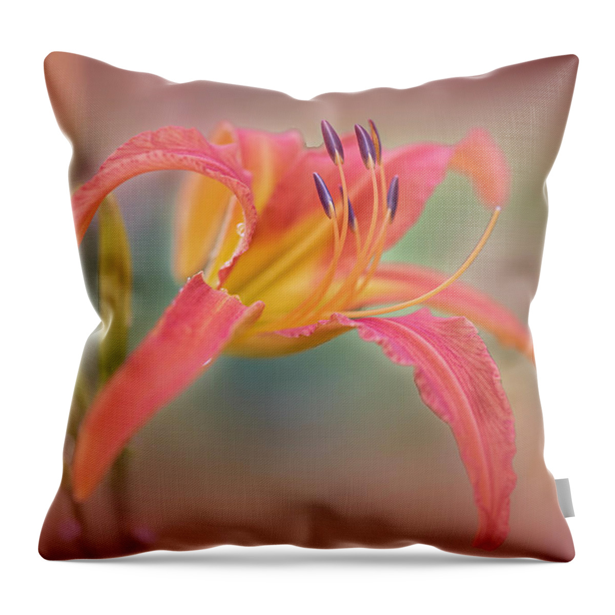 Summer Throw Pillow featuring the photograph A thing of beauty lasts only for a day. by Usha Peddamatham