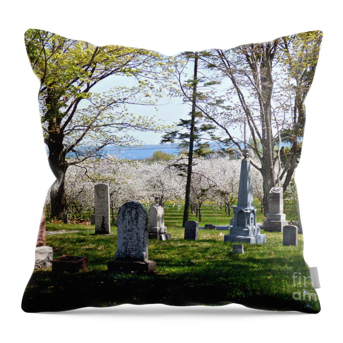 Cemetery Throw Pillow featuring the photograph A Tomb With A View by Scott Ward