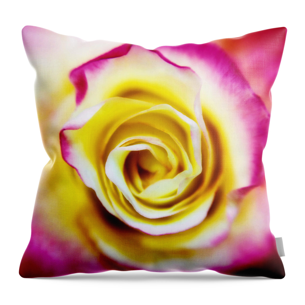 Rose Throw Pillow featuring the photograph A Touch of Pink by Nathan Little