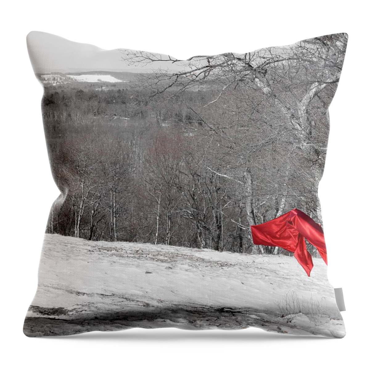 Red Throw Pillow featuring the photograph A Touch of Red 1 by Nina Kindred