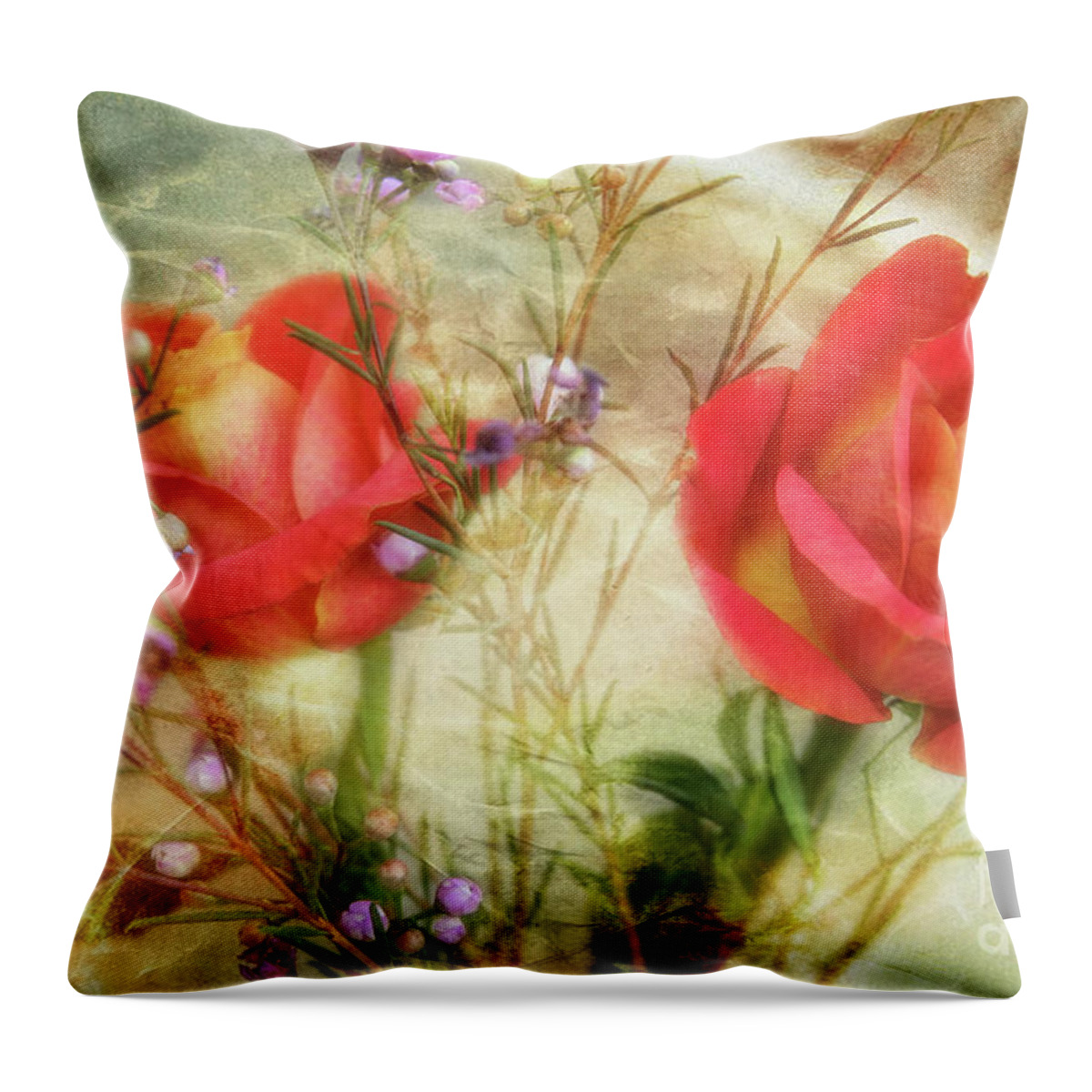 Roses Throw Pillow featuring the photograph A Treasure by Joan Bertucci