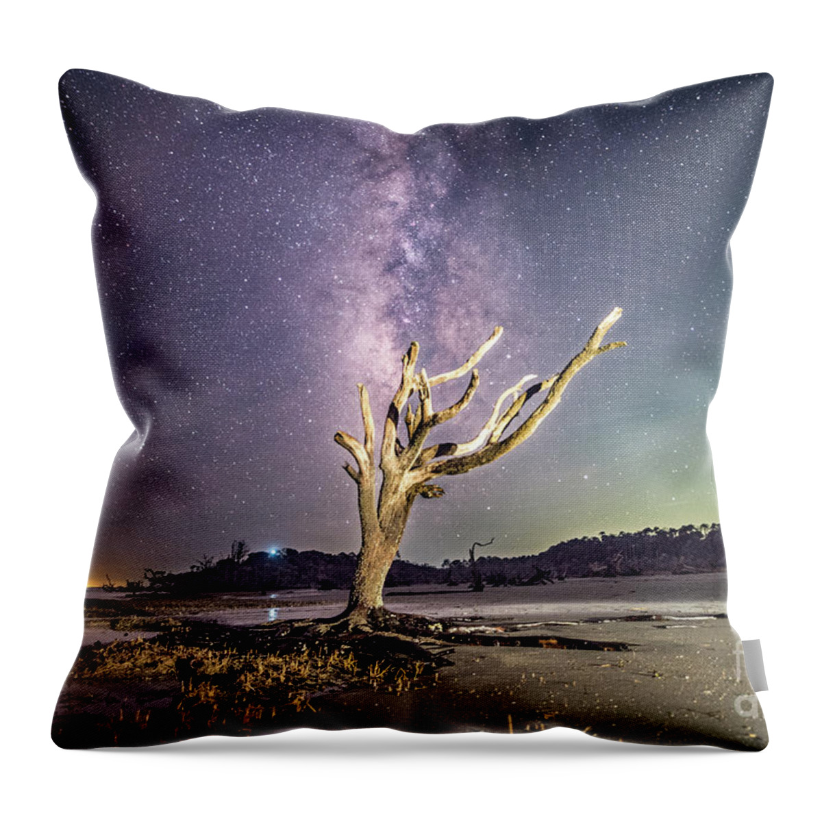 Milky Way Throw Pillow featuring the photograph A tree from another dimension by Robert Loe