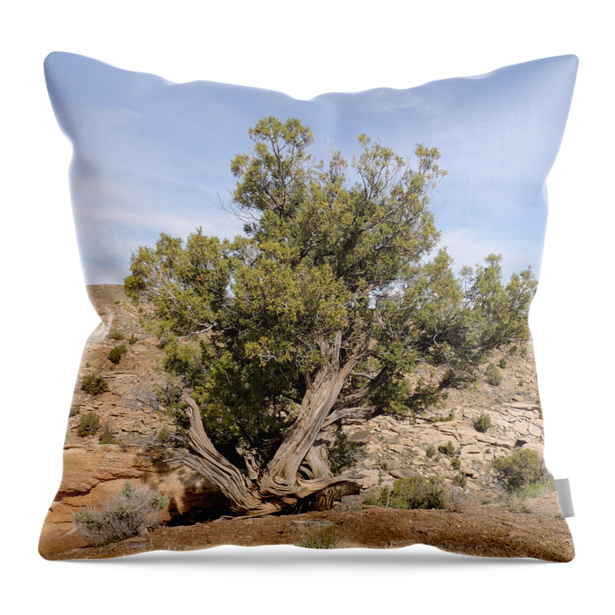 Utah Throw Pillow featuring the photograph A Tree in the Desert by Andrew Chambers