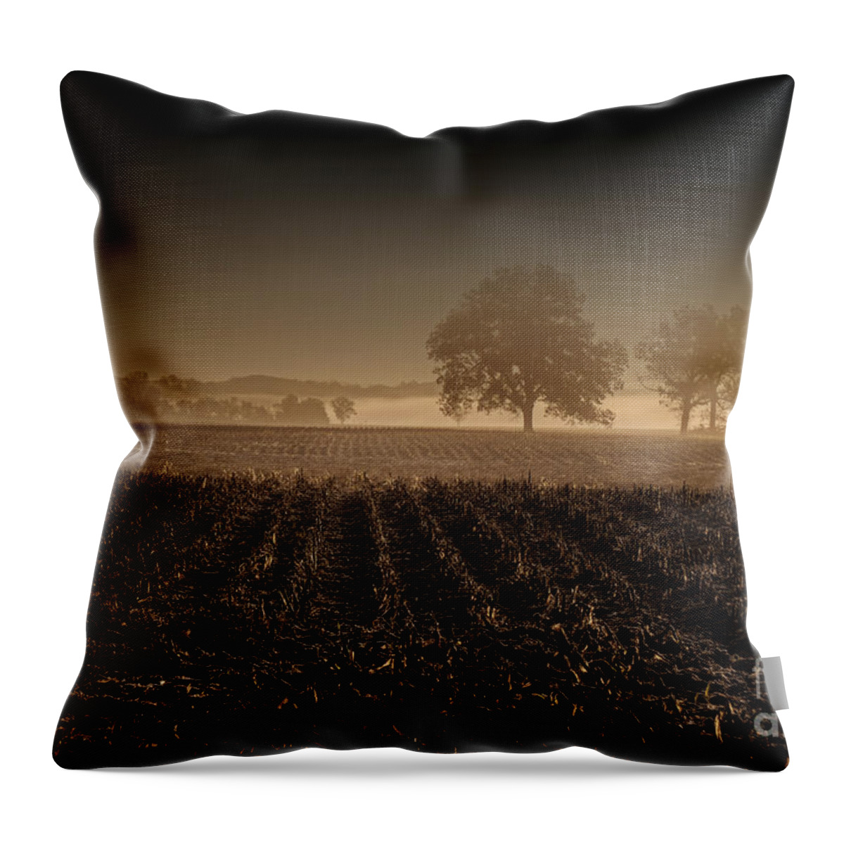 A Tree Poem In The Mist Throw Pillow featuring the digital art A Tree Poem in the Mist by William Fields