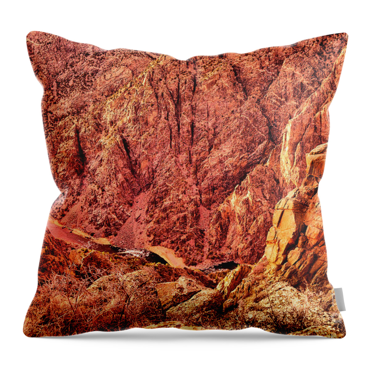 River Throw Pillow featuring the photograph A view of the Gunnison River by Jeff Swan