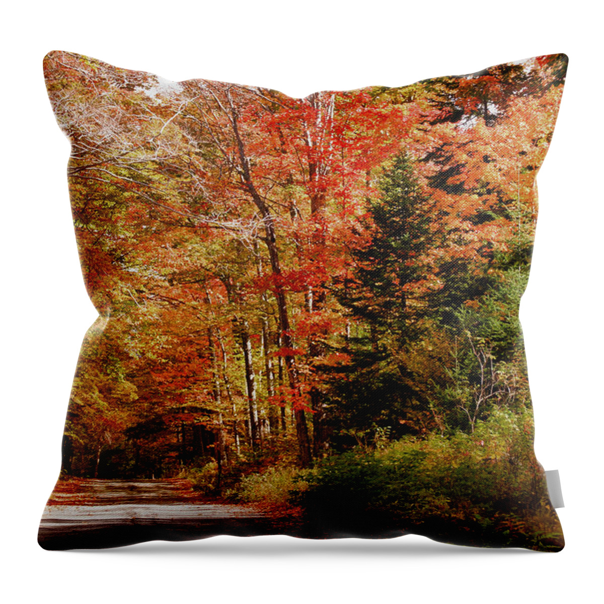 Mount Jefferson Throw Pillow featuring the photograph A view up Jefferson Notch road by Jeff Folger