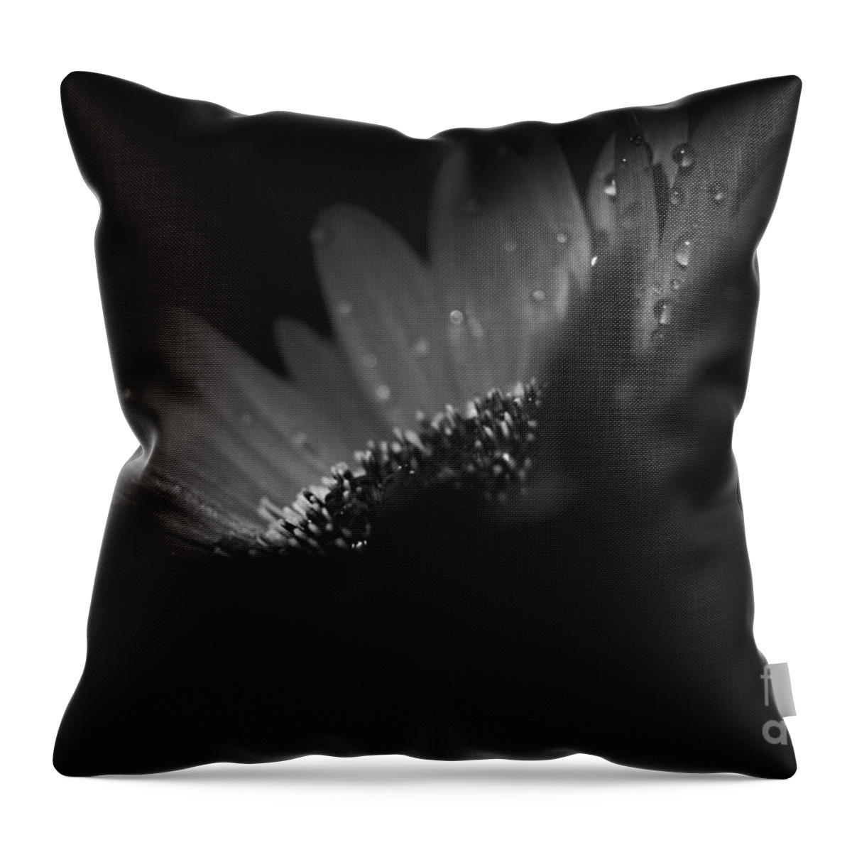 A Vision Of Beauty Throw Pillow featuring the photograph A Vision of Beauty by Sharon Mau
