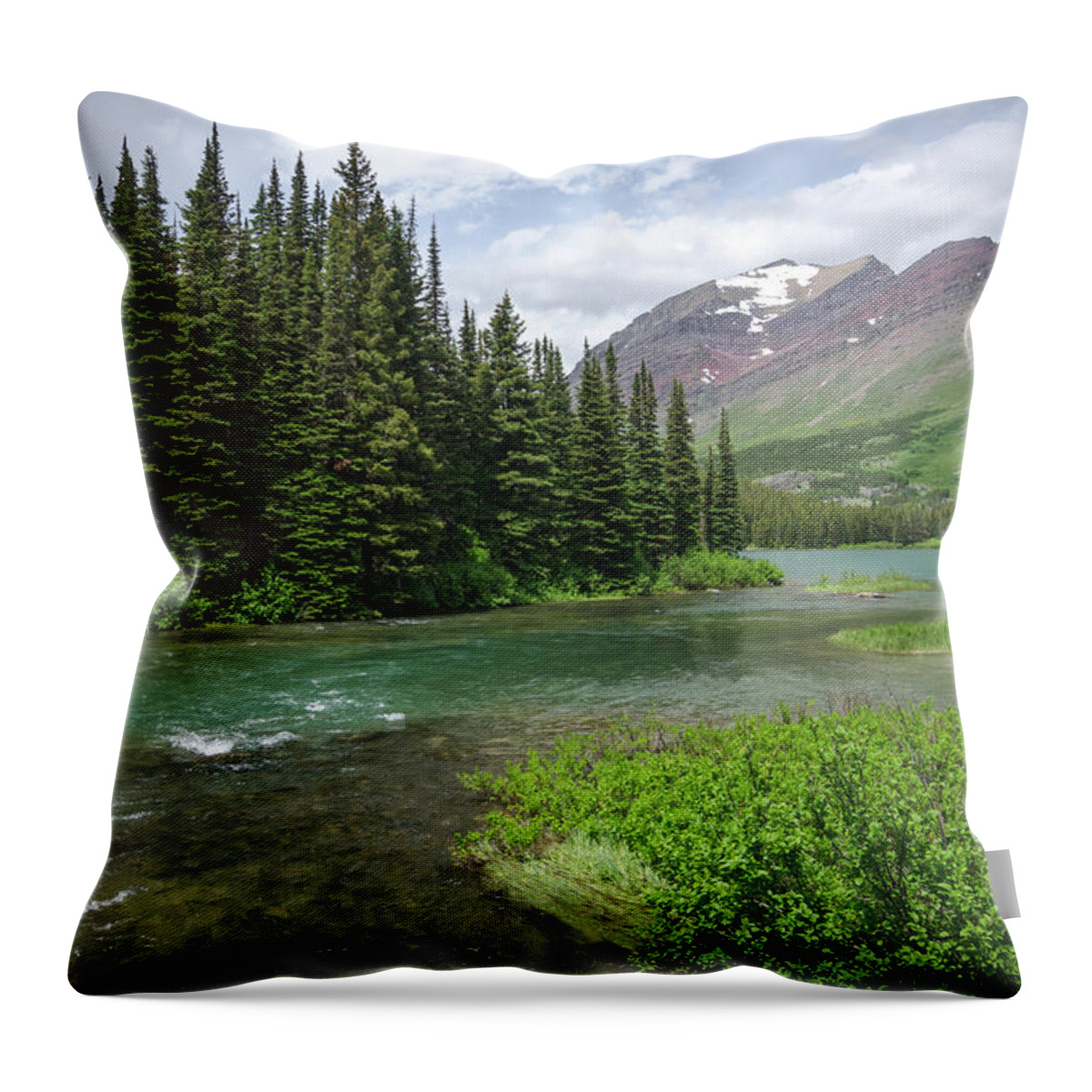 Glacier Throw Pillow featuring the photograph A Walk in the Forest by Margaret Pitcher
