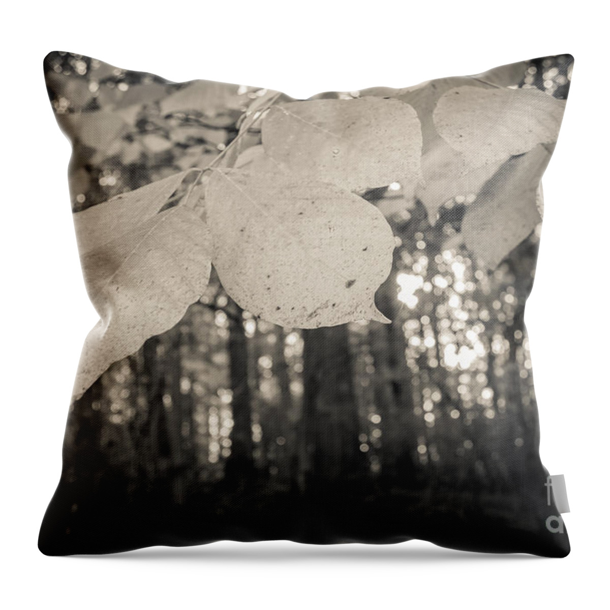 Tree Throw Pillow featuring the photograph A Walk in The Woods by Ana V Ramirez
