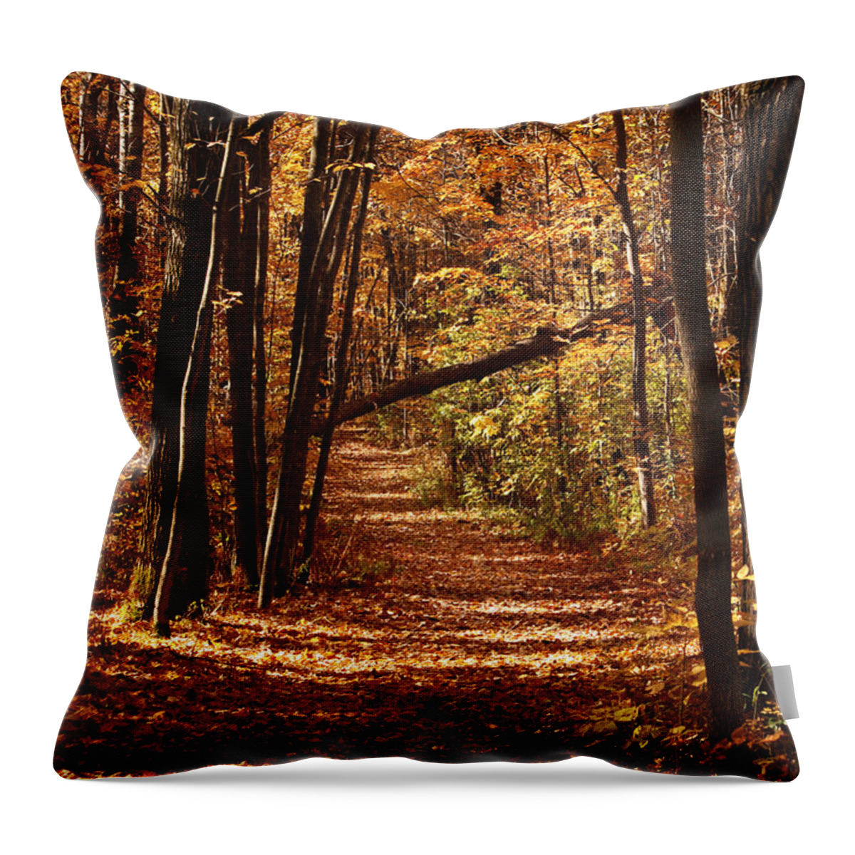 Autumn Throw Pillow featuring the photograph A Walk in the Woods by Cheryl Day