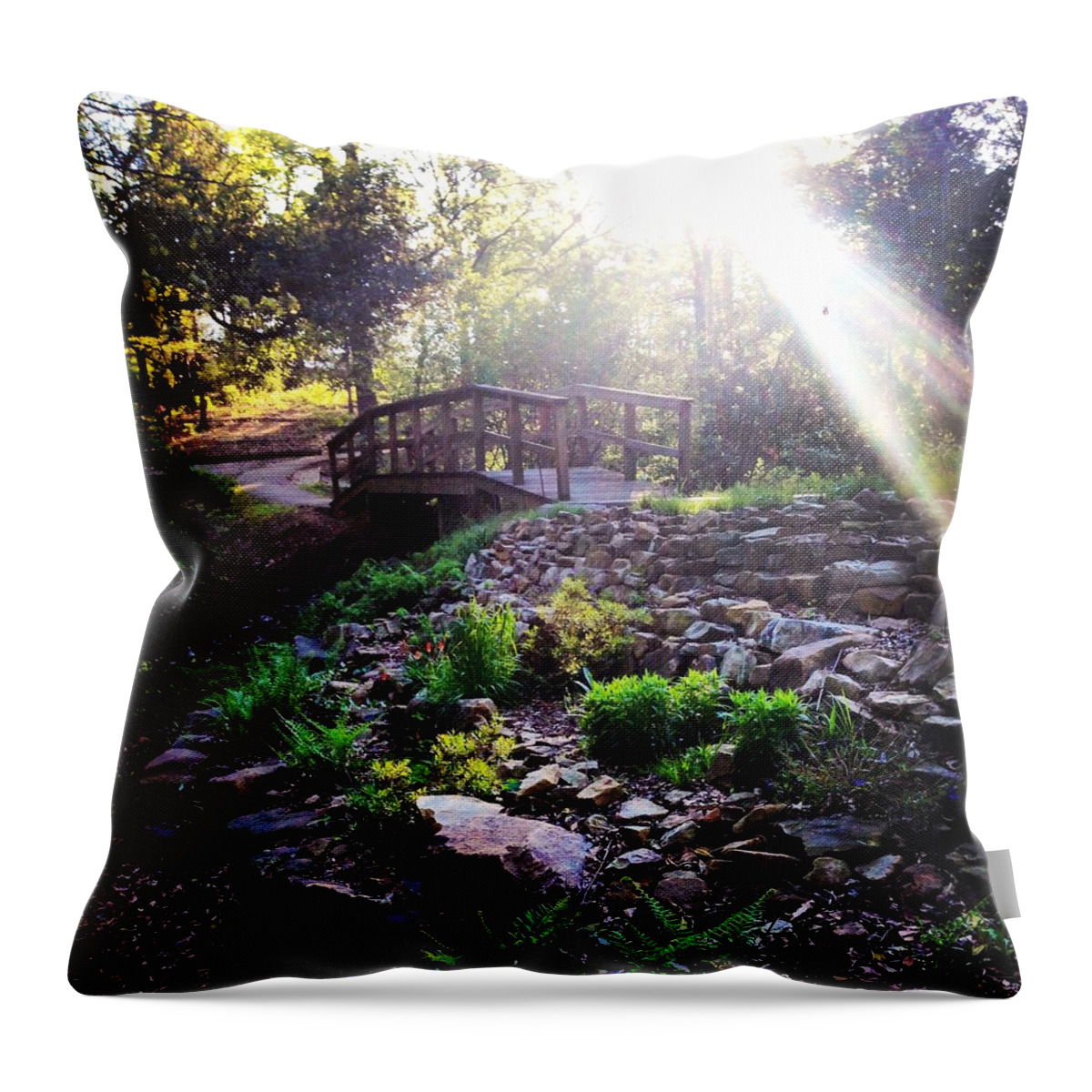 Nature Throw Pillow featuring the photograph A Walk Through Nature by Chloe Cox