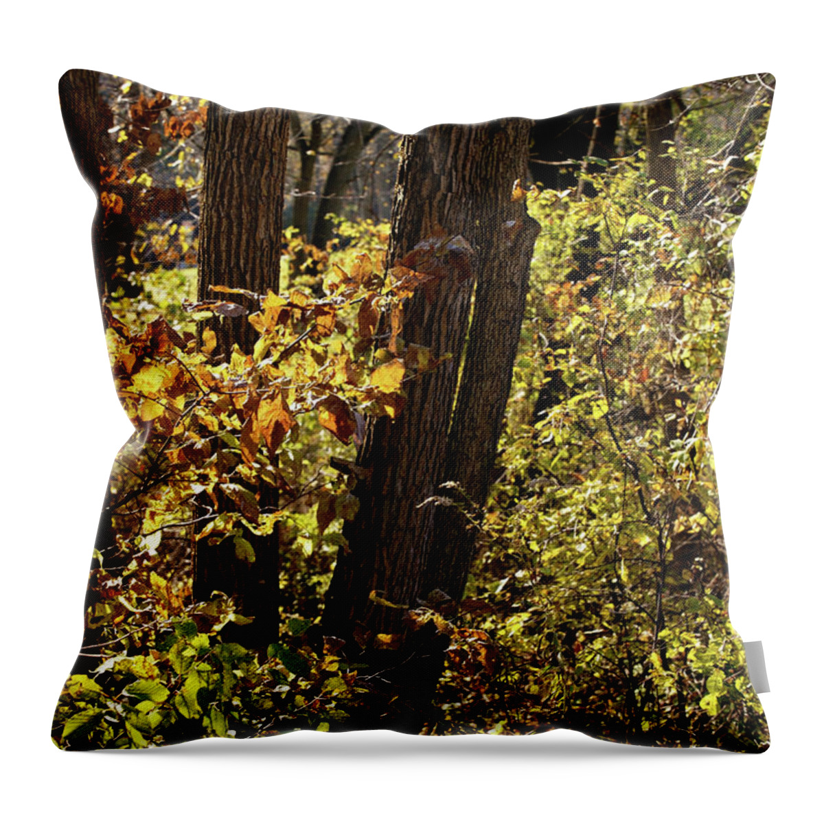 Woods Throw Pillow featuring the photograph A Walk Through The Woods - 2 by Linda Shafer