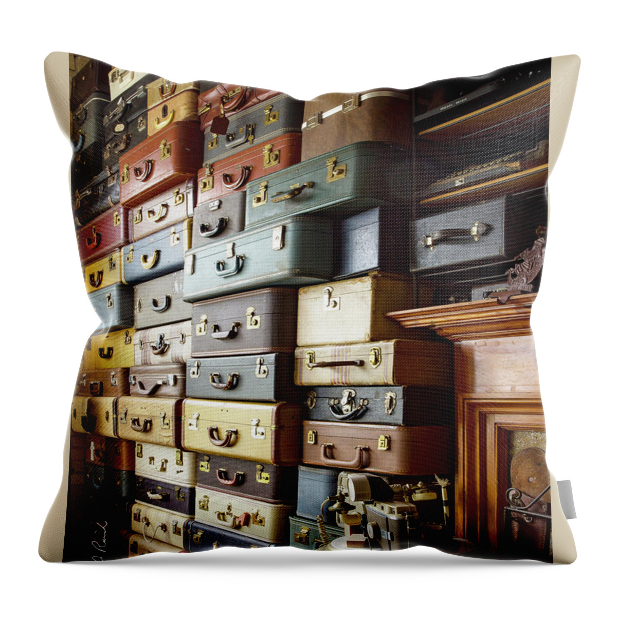 Color Throw Pillow featuring the photograph A Wall of Cases by Frederic A Reinecke