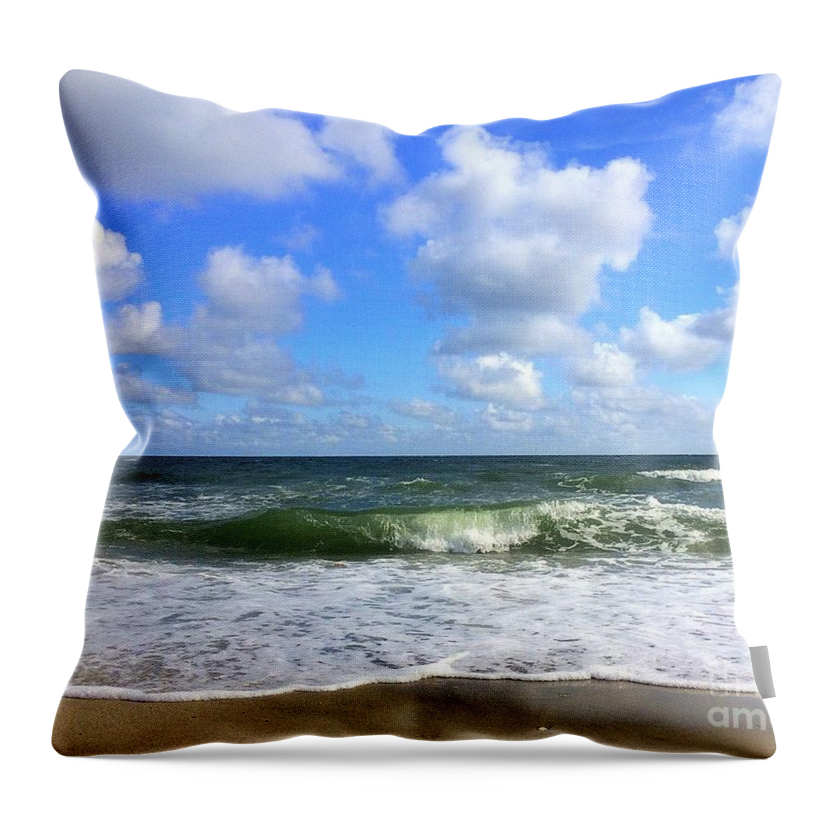 Art Throw Pillow featuring the photograph A Wave to Ride by Shelia Kempf